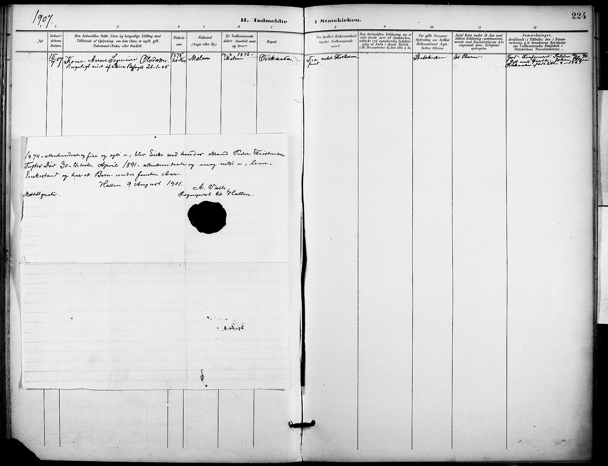 Holla kirkebøker, SAKO/A-272/F/Fa/L0010: Parish register (official) no. 10, 1897-1907, p. 224