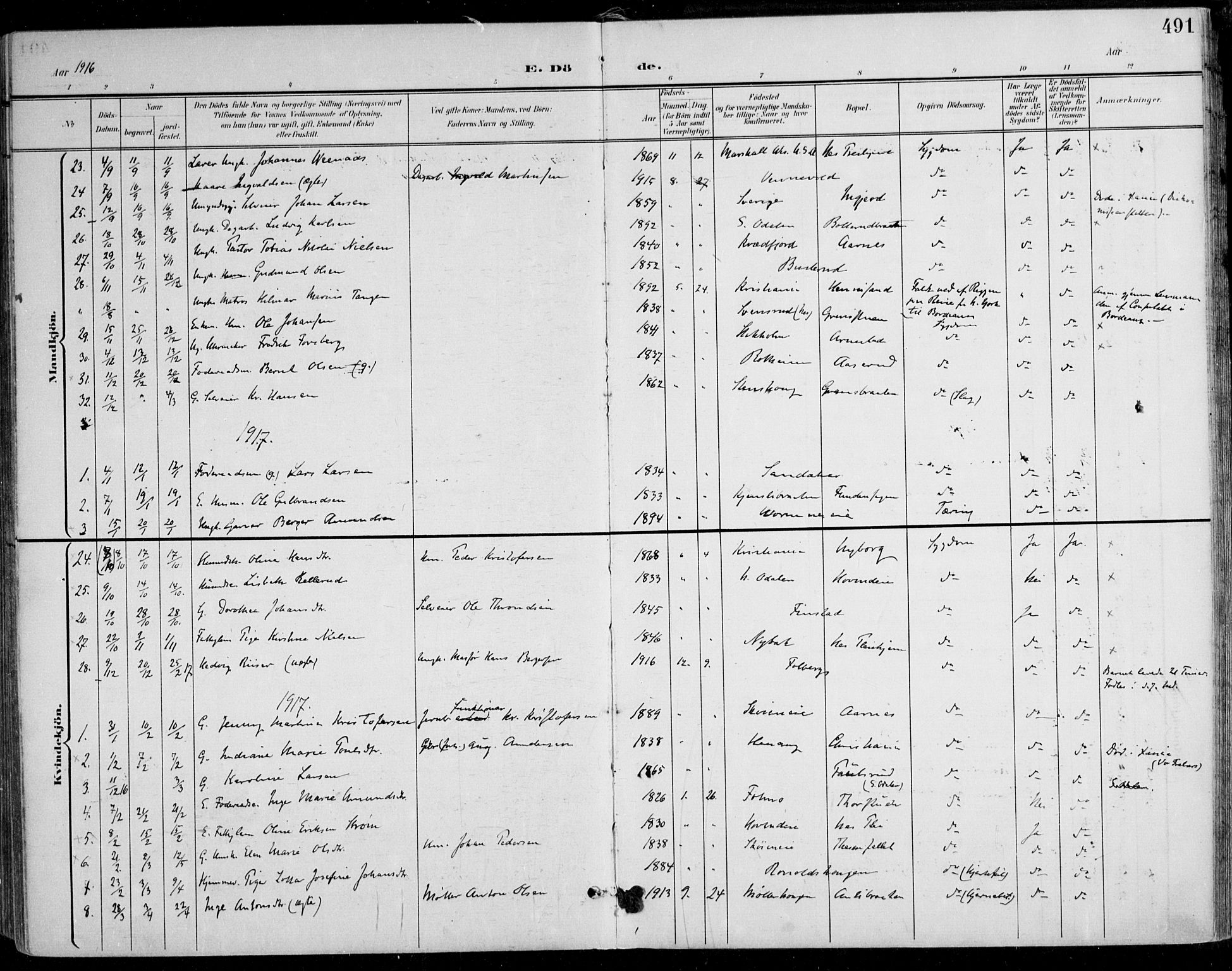 Nes prestekontor Kirkebøker, AV/SAO-A-10410/F/Fa/L0011: Parish register (official) no. I 11, 1899-1918, p. 491