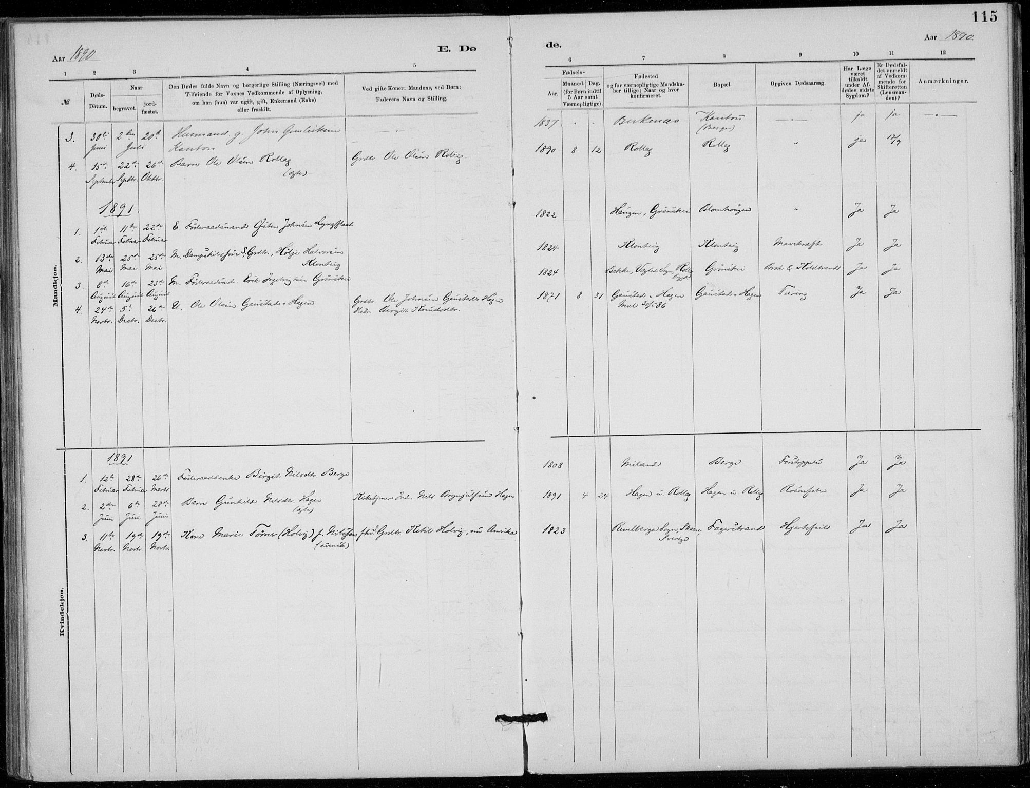 Tinn kirkebøker, SAKO/A-308/F/Fb/L0002: Parish register (official) no. II 2, 1878-1917, p. 115