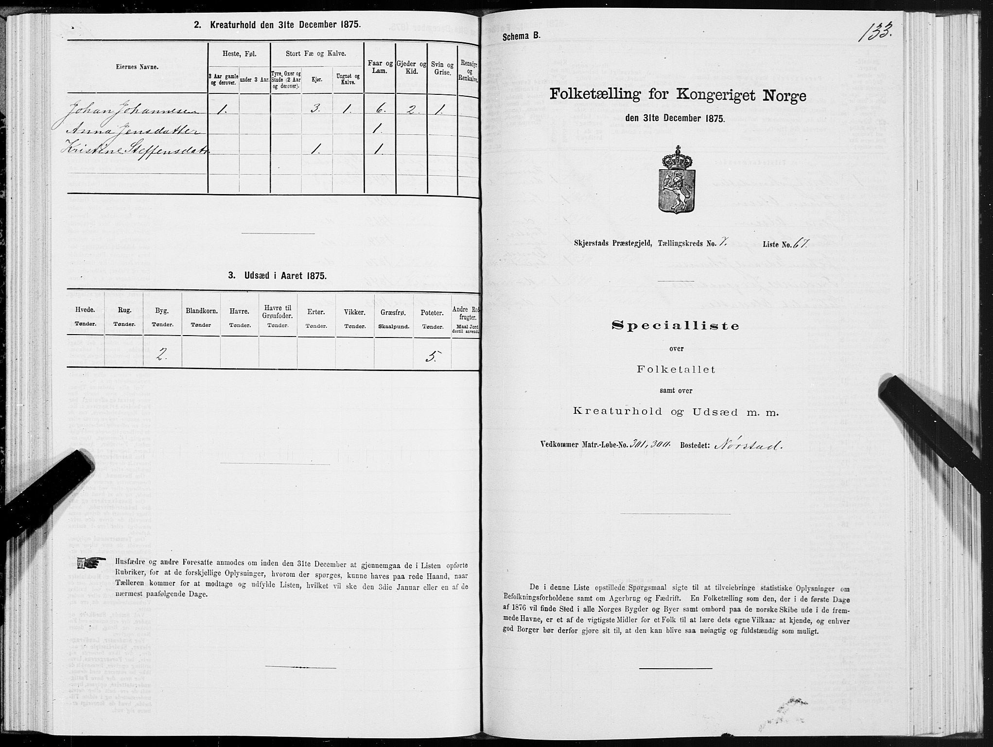 SAT, 1875 census for 1842P Skjerstad, 1875, p. 4133