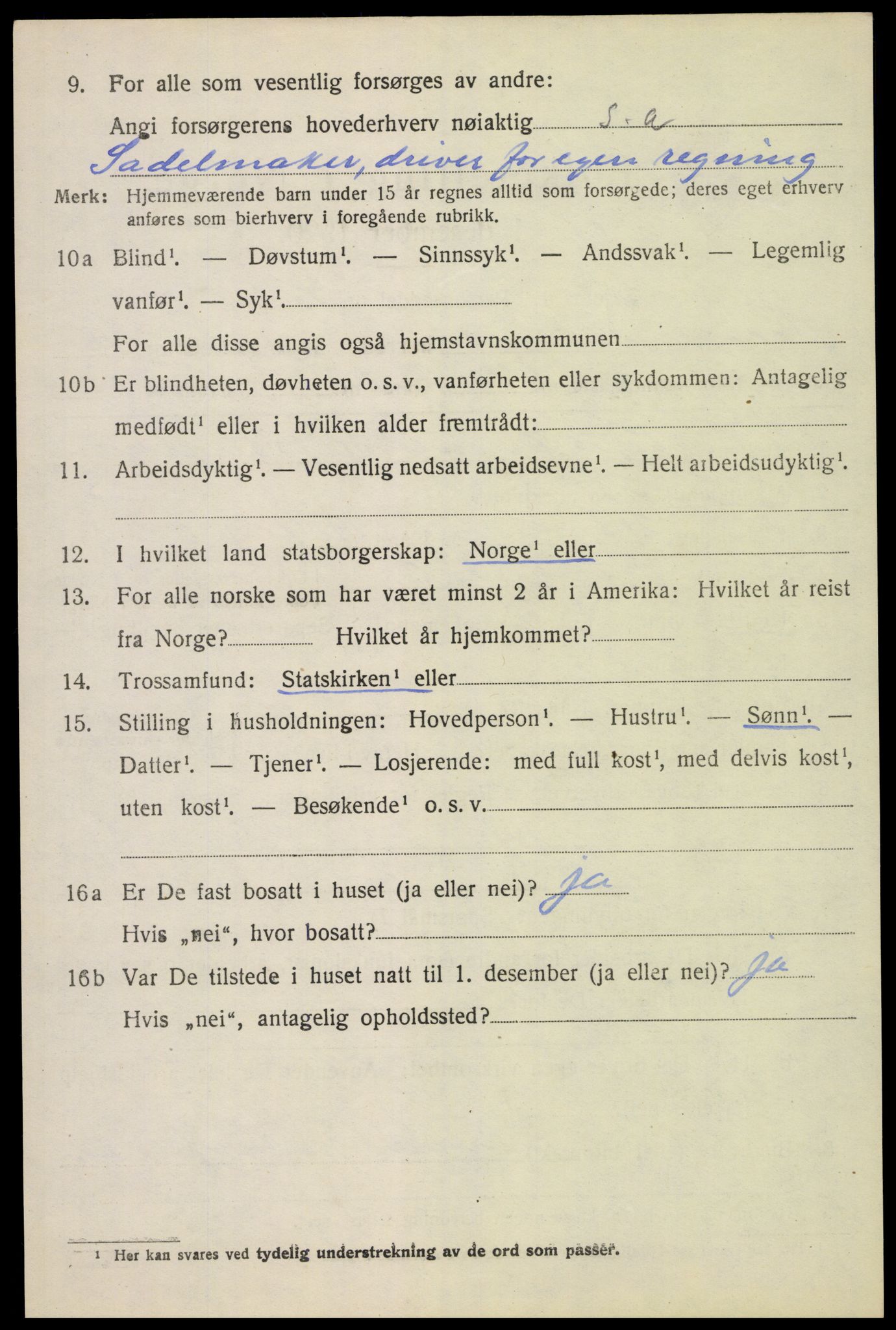 SAH, 1920 census for Romedal, 1920, p. 12088