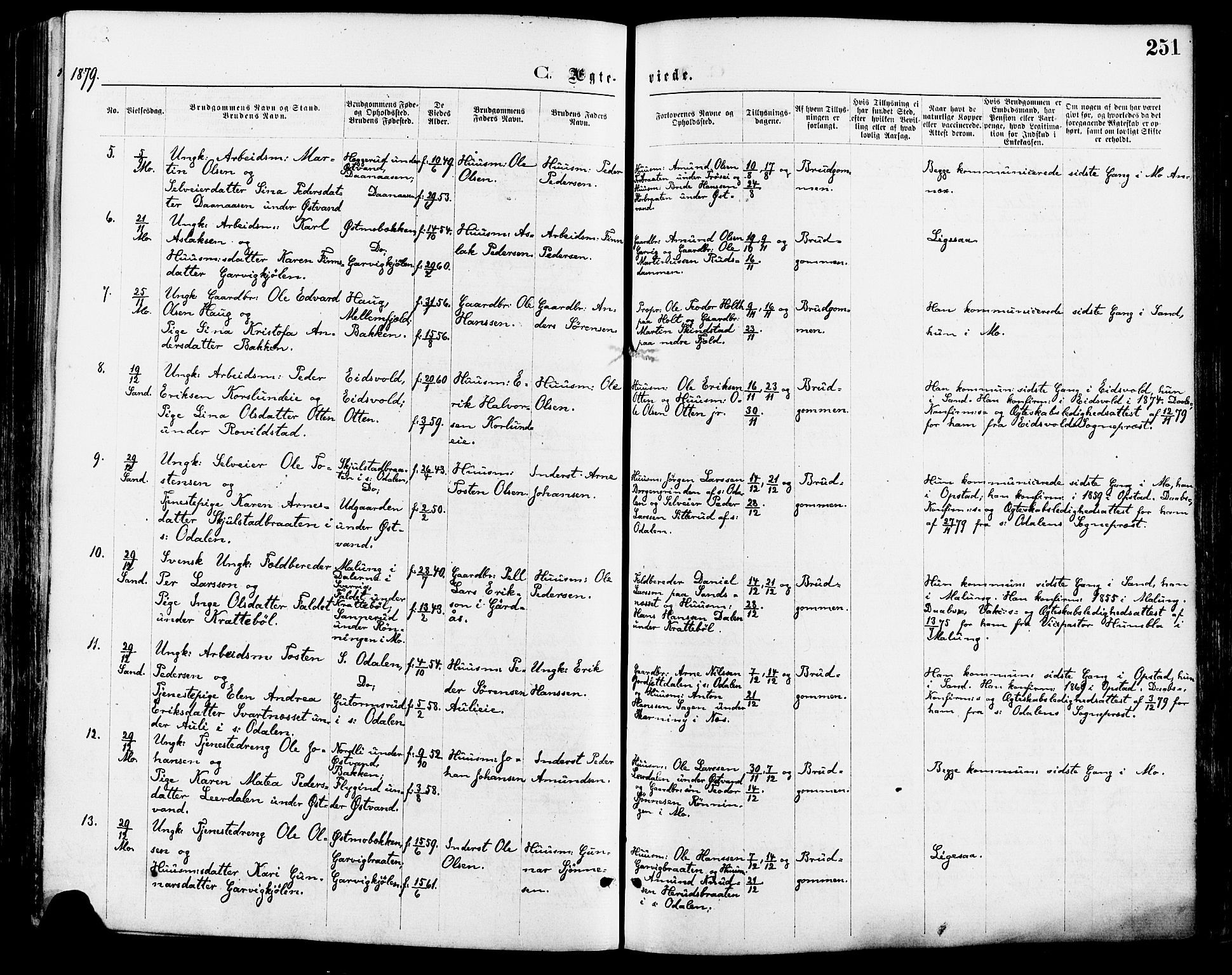 Nord-Odal prestekontor, SAH/PREST-032/H/Ha/Haa/L0005: Parish register (official) no. 5, 1874-1885, p. 251