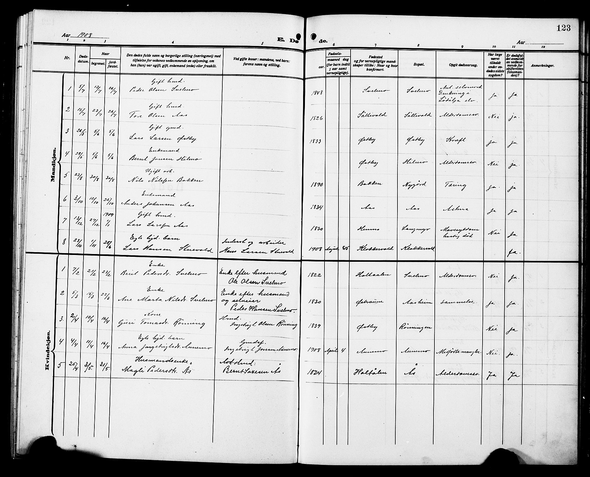 Ministerialprotokoller, klokkerbøker og fødselsregistre - Sør-Trøndelag, AV/SAT-A-1456/698/L1168: Parish register (copy) no. 698C05, 1908-1930, p. 123