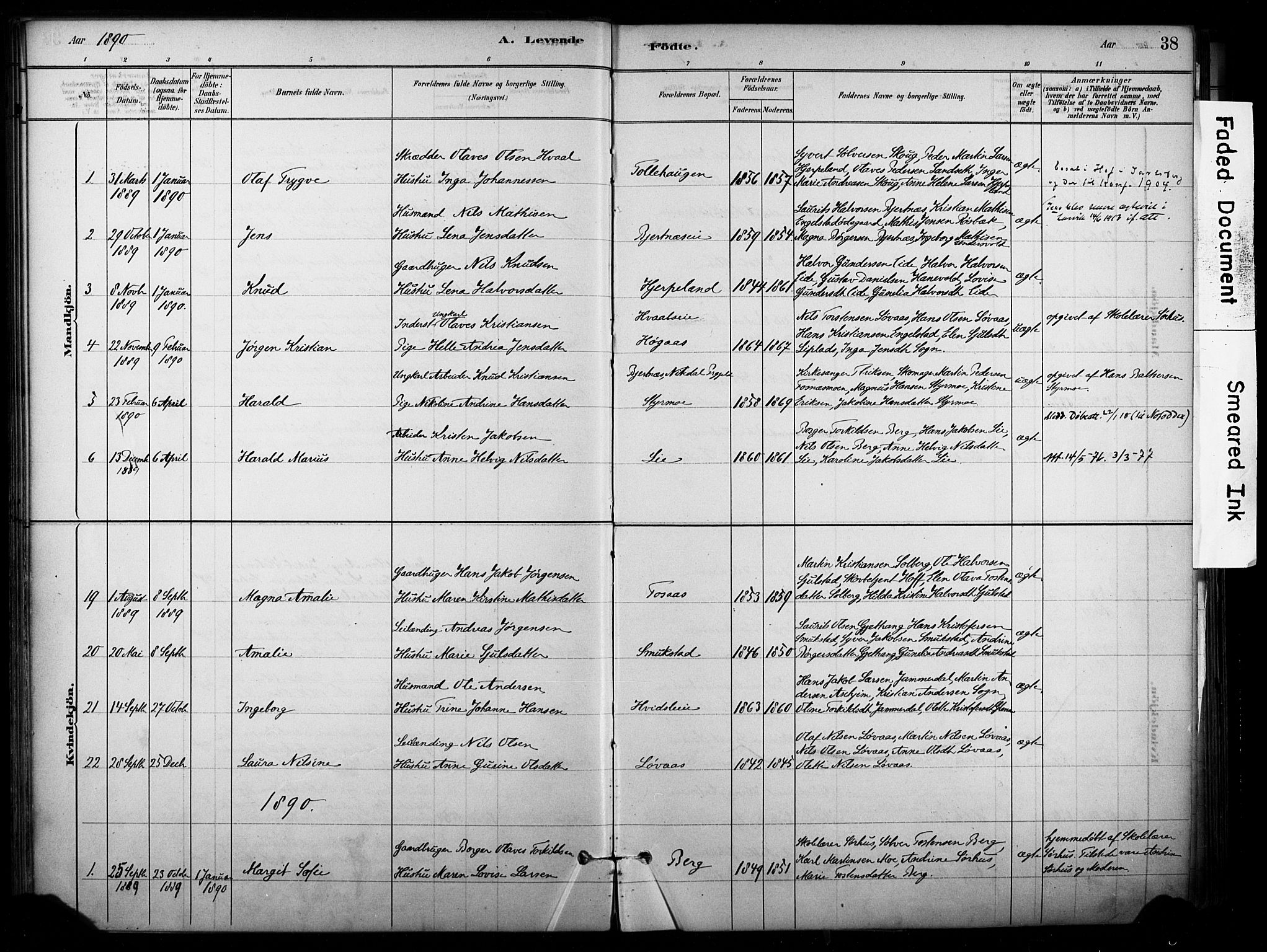 Lardal kirkebøker, AV/SAKO-A-350/F/Fb/L0001: Parish register (official) no. II 1, 1881-1911, p. 38