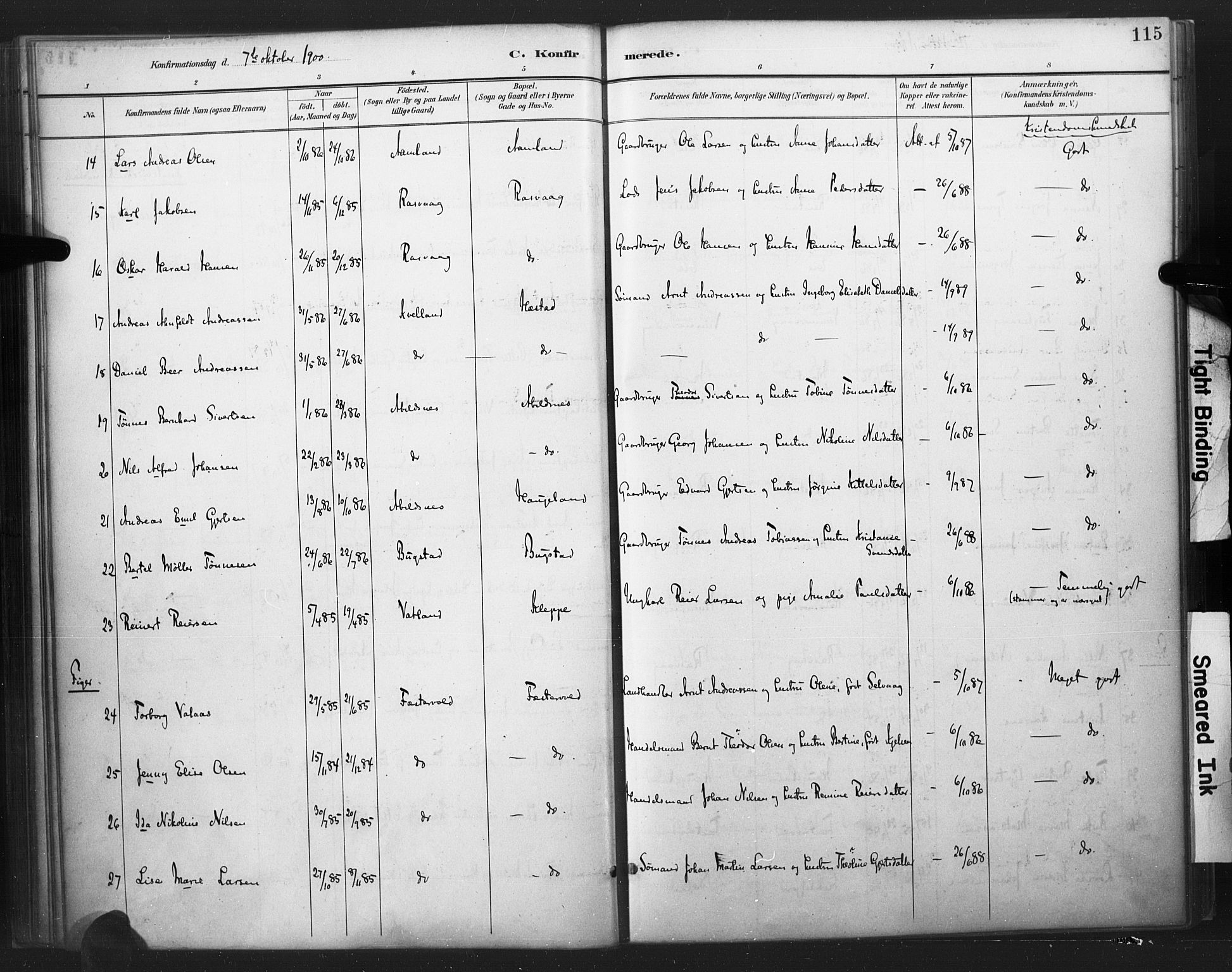 Flekkefjord sokneprestkontor, AV/SAK-1111-0012/F/Fa/Fab/L0006: Parish register (official) no. A 6, 1886-1901, p. 115