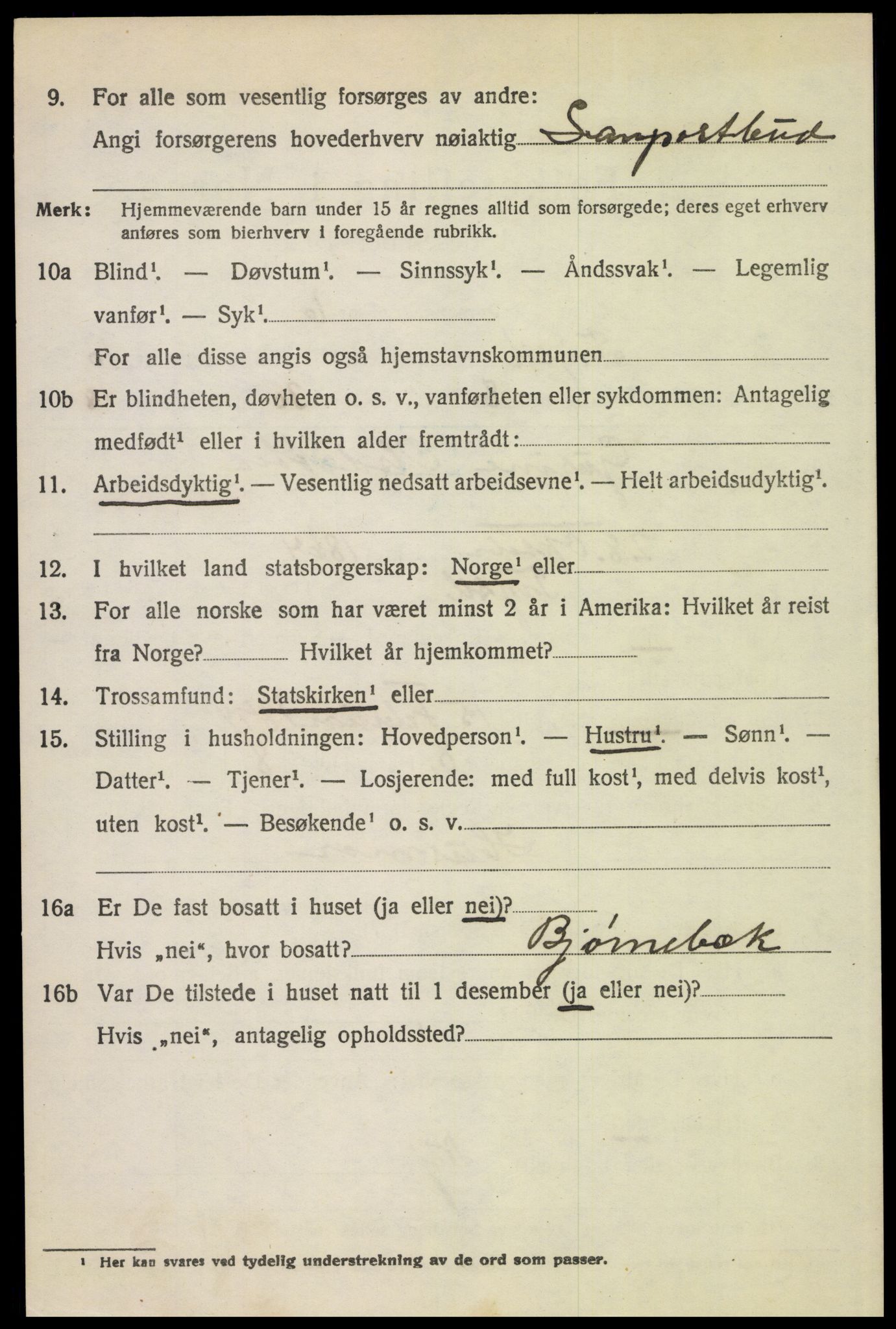 SAH, 1920 census for Trysil, 1920, p. 6954
