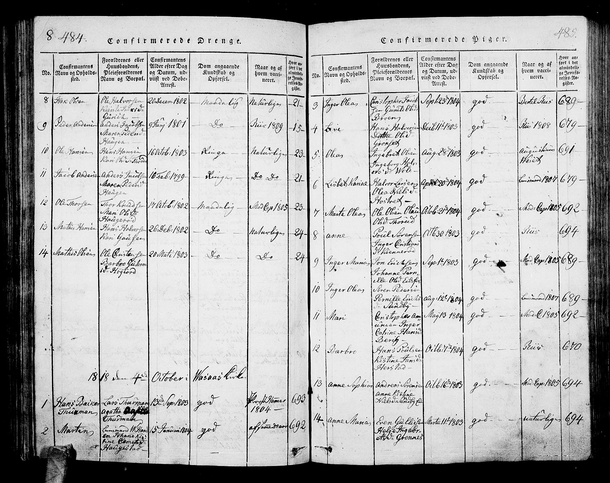 Hof kirkebøker, AV/SAKO-A-64/G/Ga/L0001: Parish register (copy) no. I 1, 1814-1844, p. 484-485