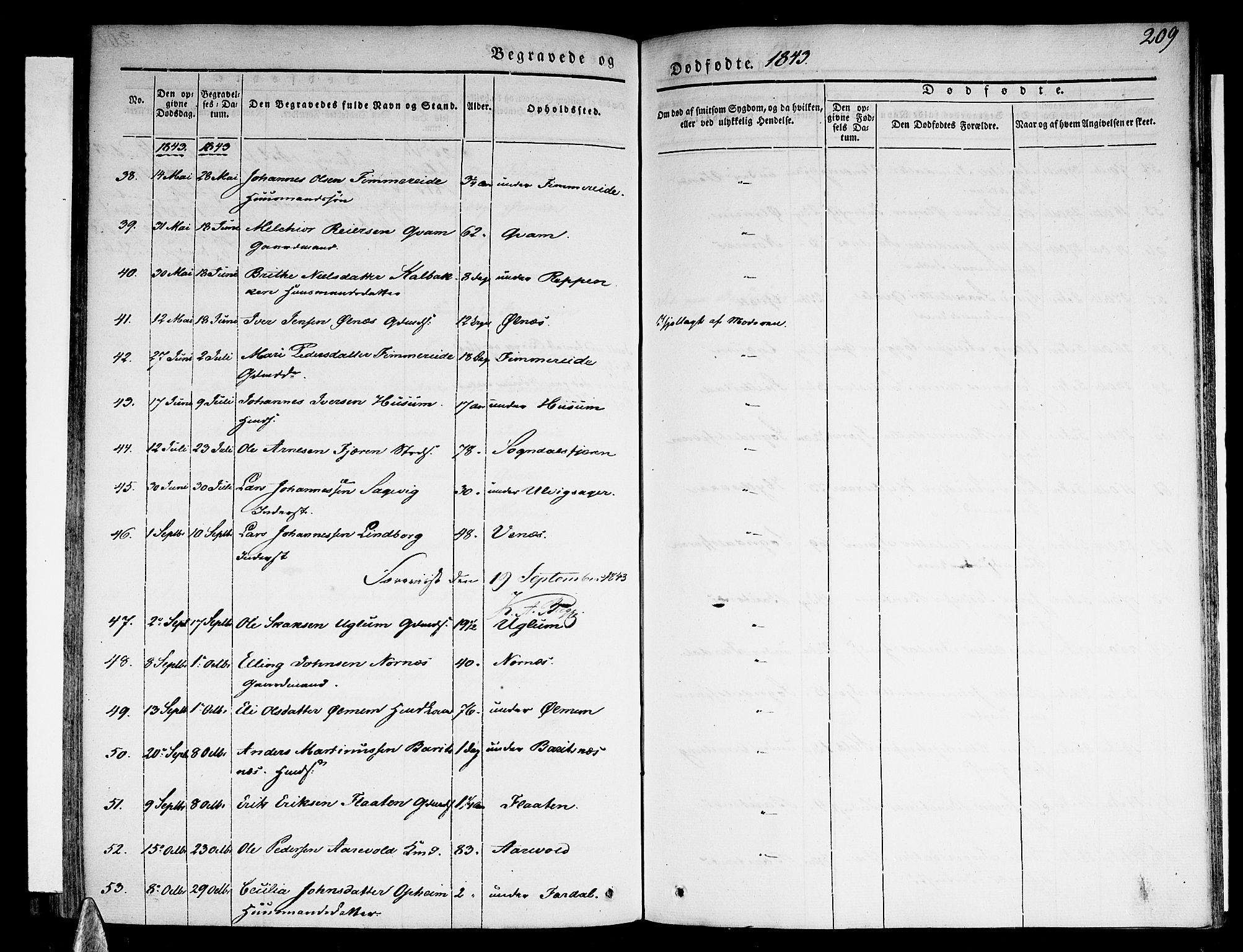 Sogndal sokneprestembete, AV/SAB-A-81301/H/Haa/Haaa/L0011: Parish register (official) no. A 11, 1839-1847, p. 209