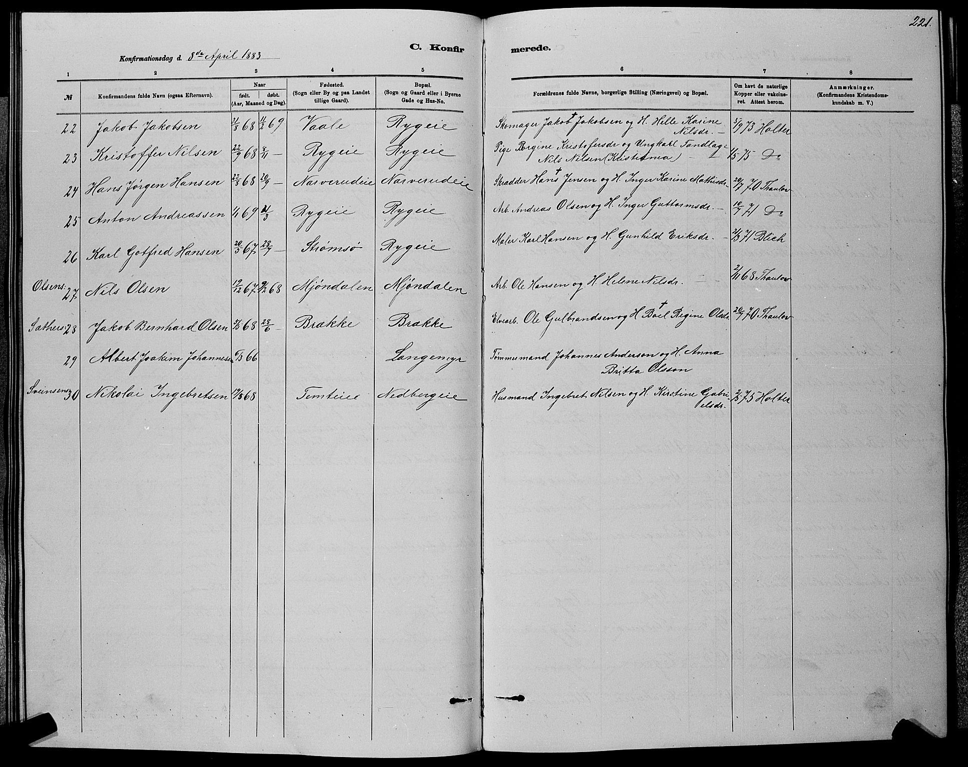 Nedre Eiker kirkebøker, AV/SAKO-A-612/G/Ga/L0002: Parish register (copy) no. 2, 1880-1896, p. 221