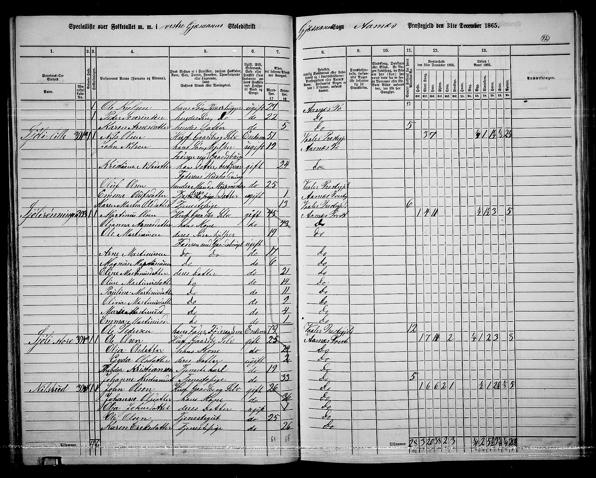 RA, 1865 census for Åsnes, 1865, p. 86