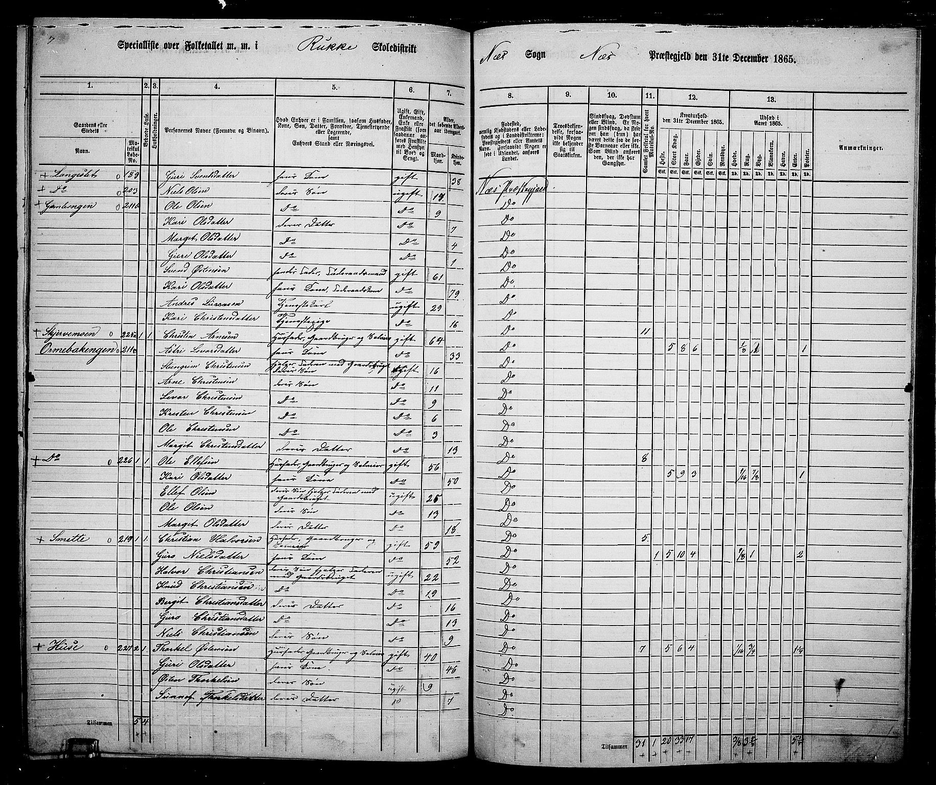 RA, 1865 census for Nes, 1865, p. 181