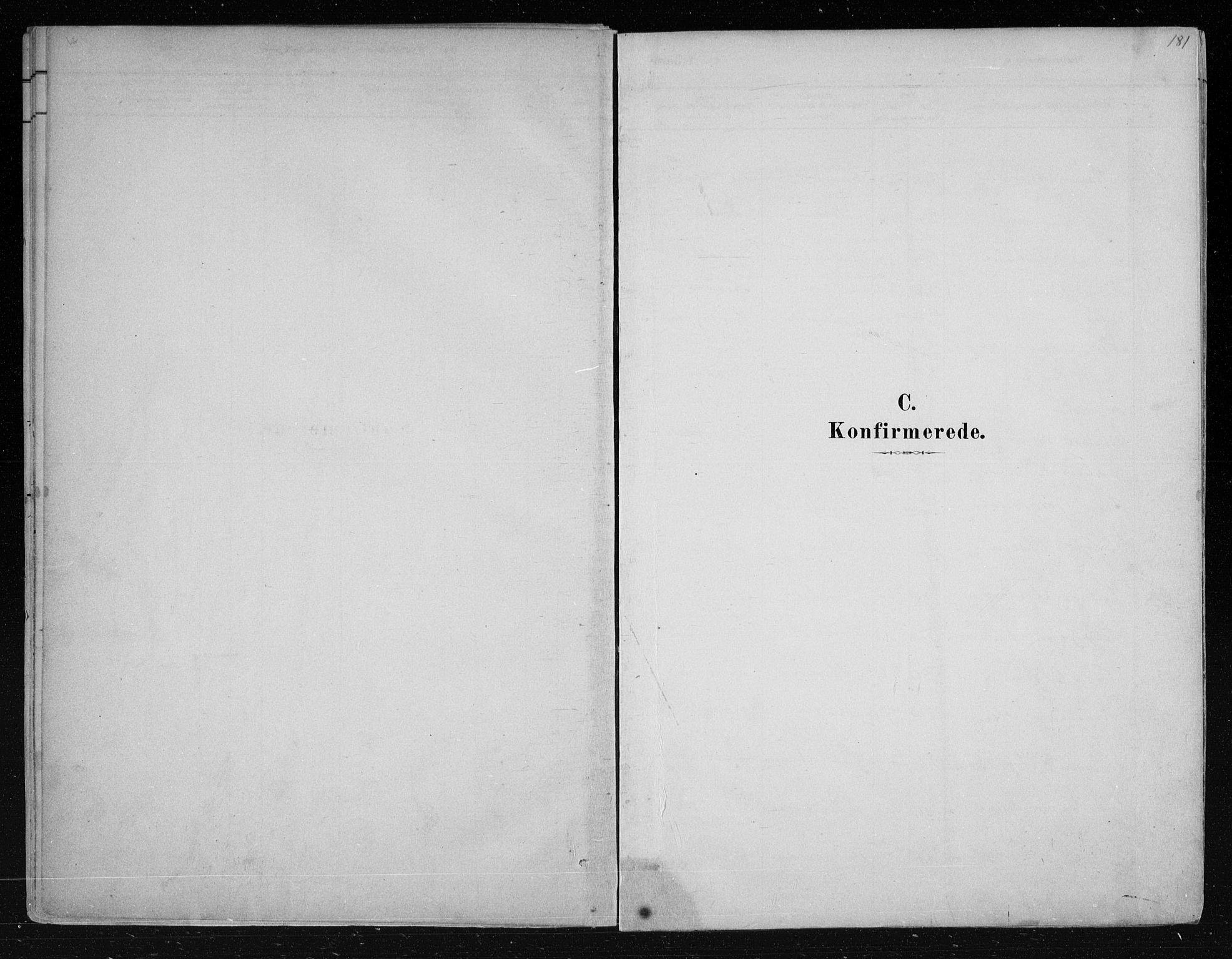 Nes kirkebøker, SAKO/A-236/F/Fa/L0011: Parish register (official) no. 11, 1881-1912, p. 181