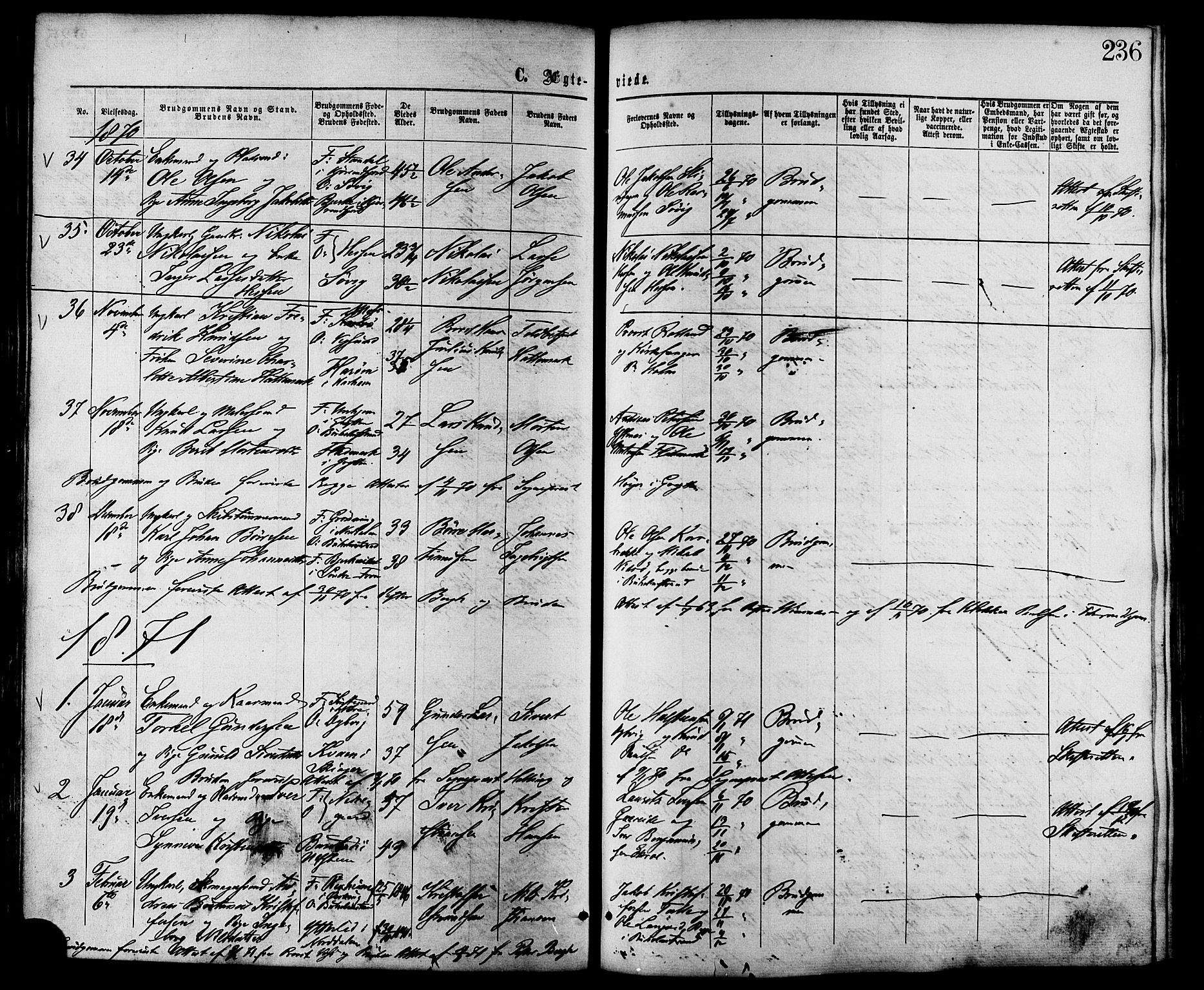 Ministerialprotokoller, klokkerbøker og fødselsregistre - Møre og Romsdal, AV/SAT-A-1454/528/L0399: Parish register (official) no. 528A10, 1864-1879, p. 236