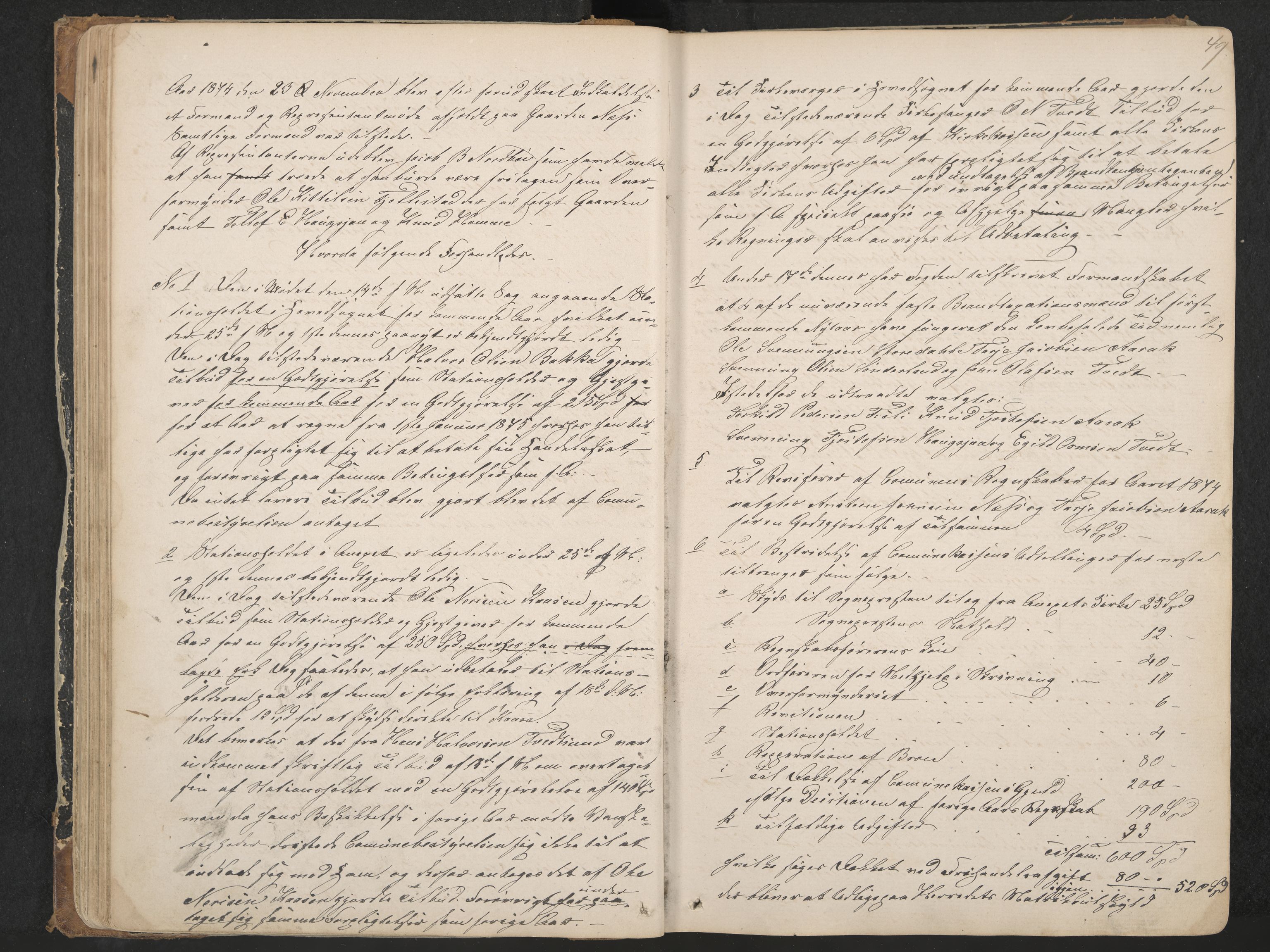 Nissedal formannskap og sentraladministrasjon, IKAK/0830021-1/A/L0002: Møtebok, 1870-1892, p. 49