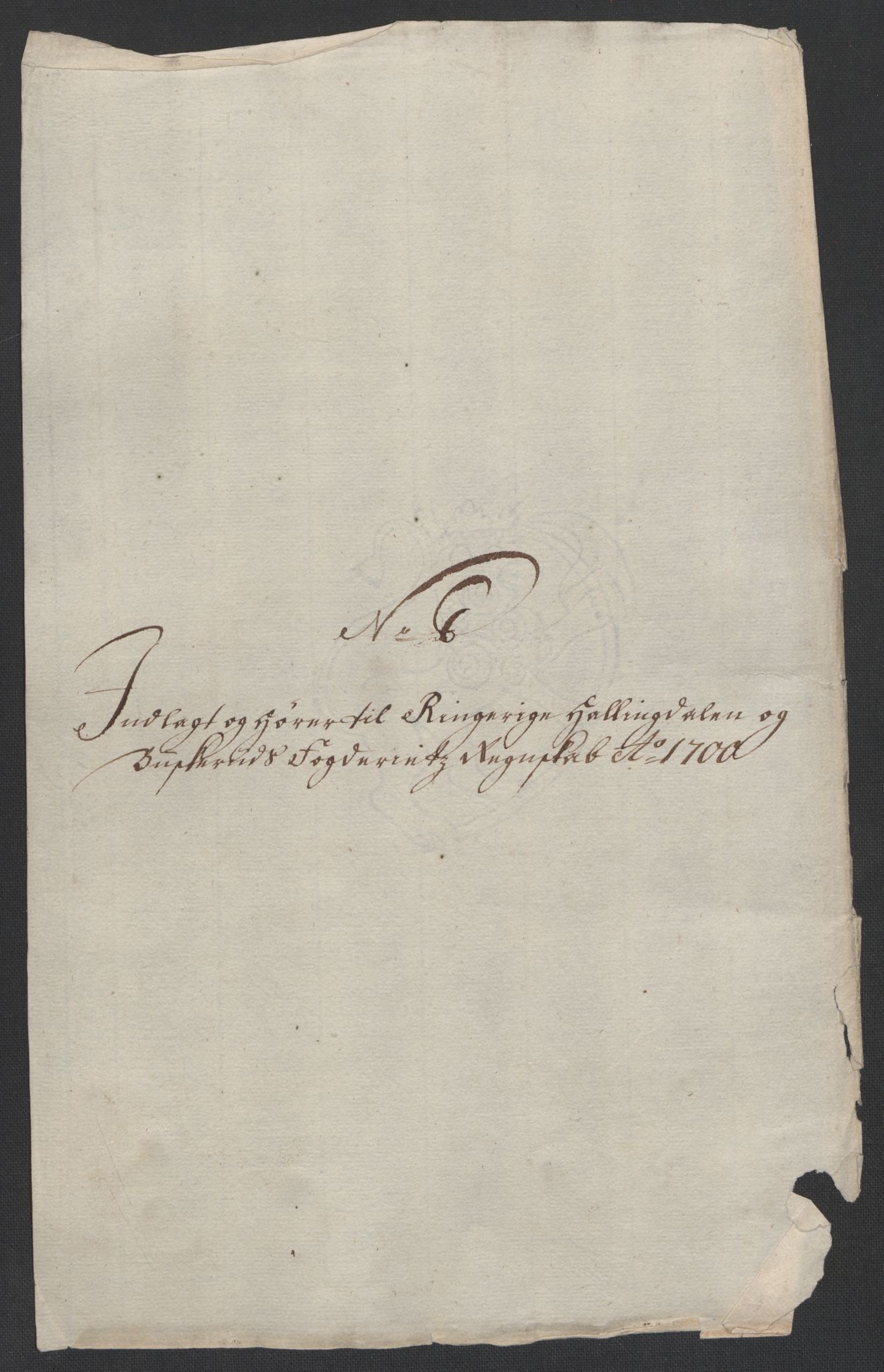 Rentekammeret inntil 1814, Reviderte regnskaper, Fogderegnskap, AV/RA-EA-4092/R22/L1457: Fogderegnskap Ringerike, Hallingdal og Buskerud, 1700, p. 131