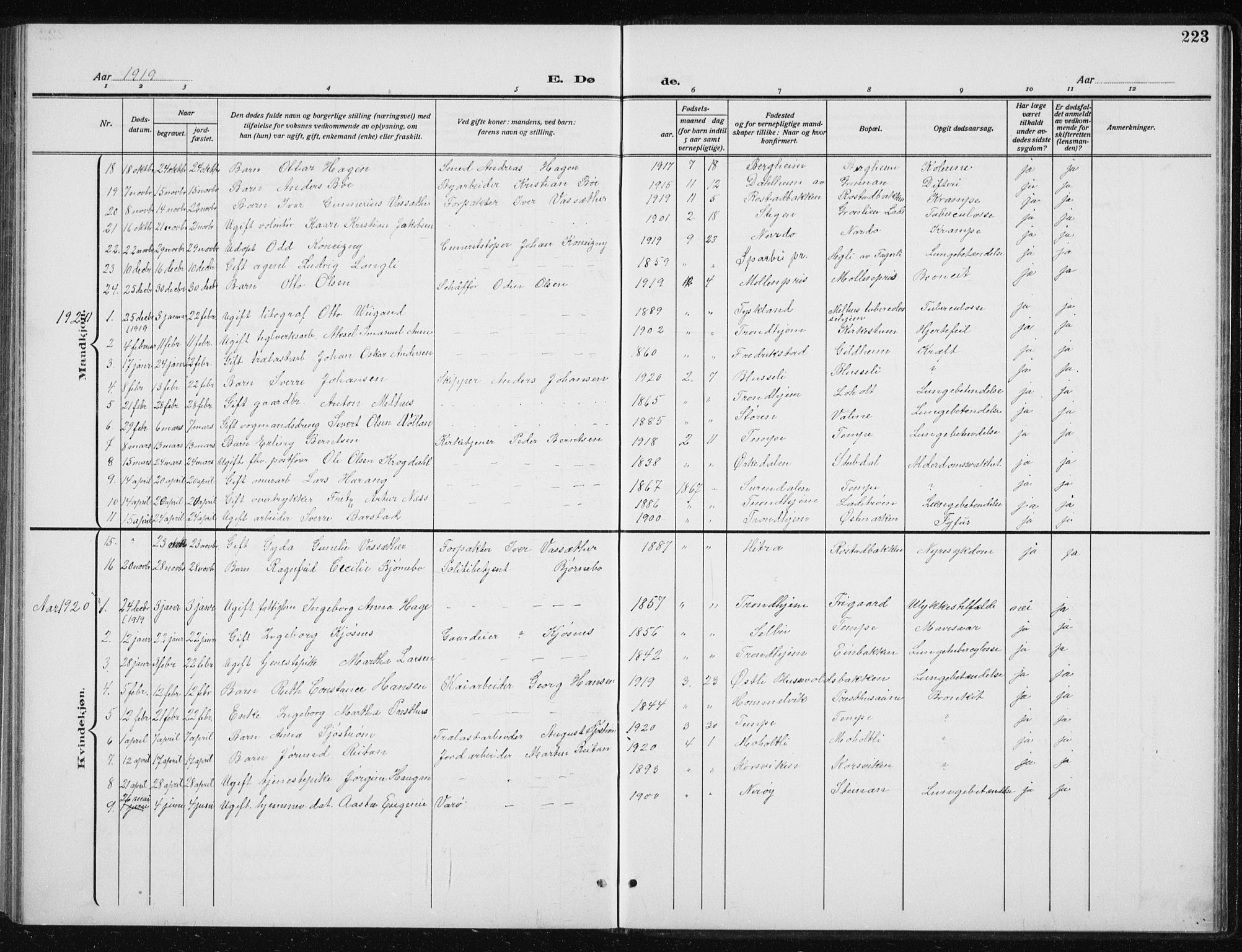 Ministerialprotokoller, klokkerbøker og fødselsregistre - Sør-Trøndelag, SAT/A-1456/606/L0314: Parish register (copy) no. 606C10, 1911-1937, p. 223