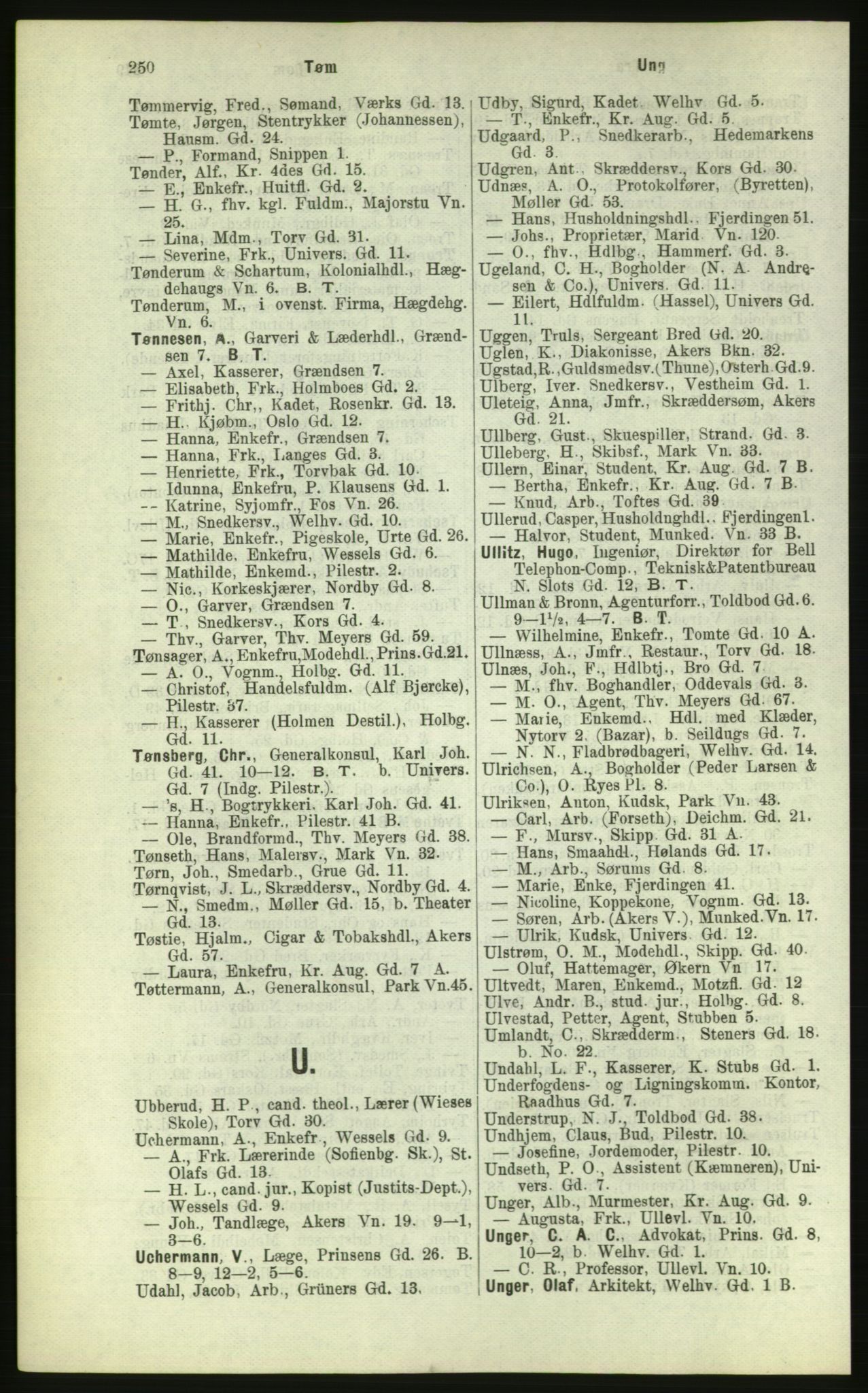Kristiania/Oslo adressebok, PUBL/-, 1884, p. 250