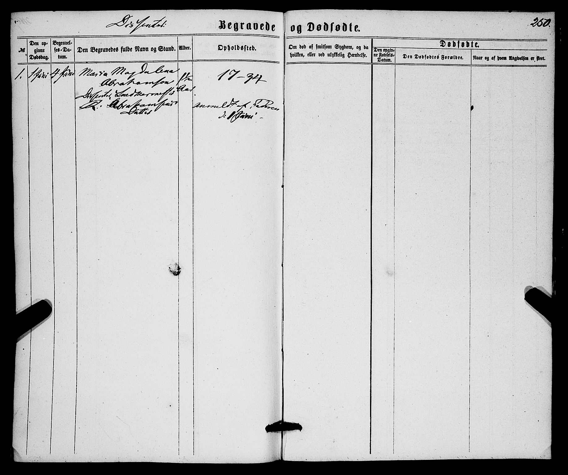 Korskirken sokneprestembete, SAB/A-76101/H/Haa/L0045: Parish register (official) no. E 3, 1863-1875, p. 250