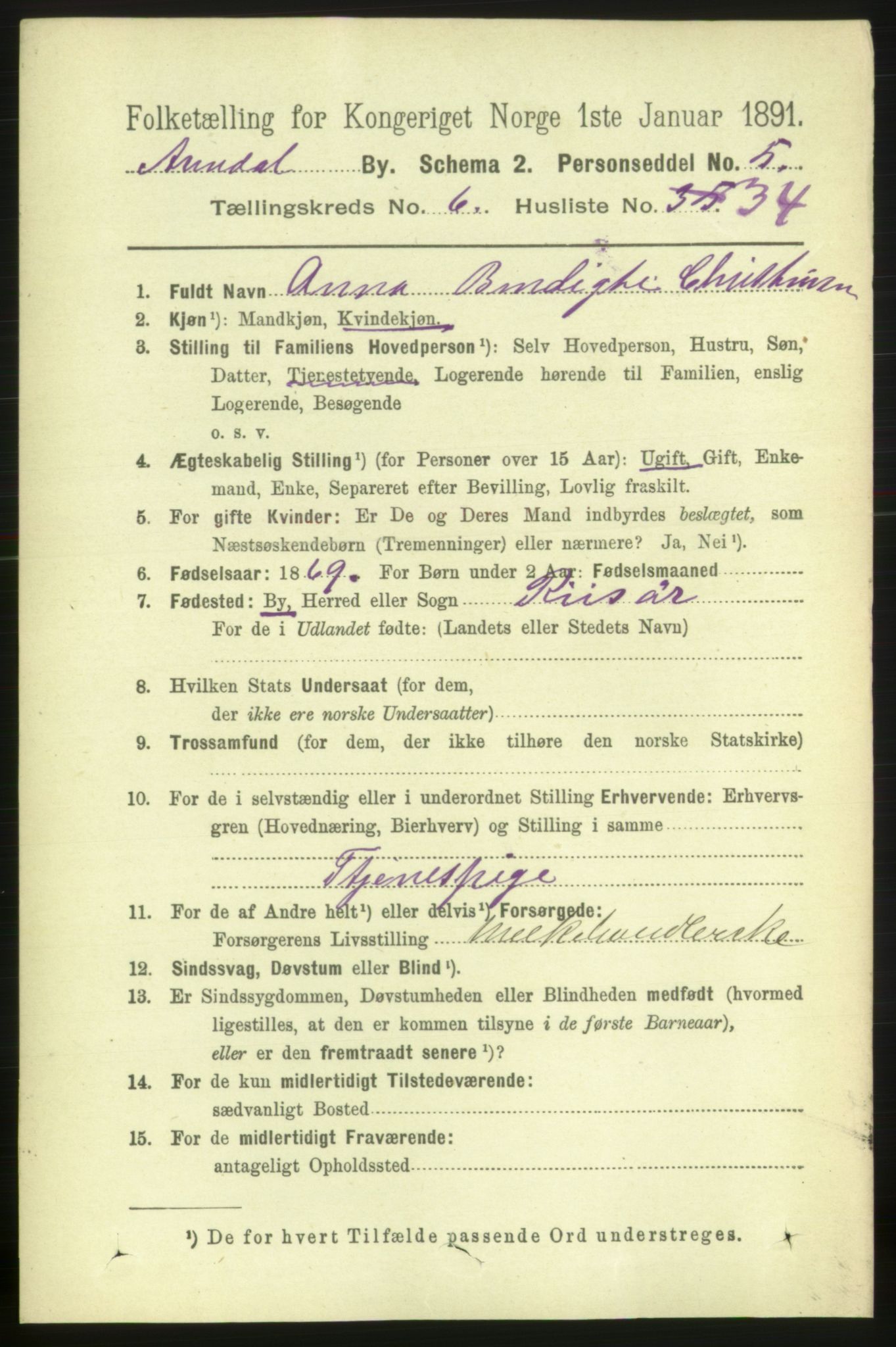 RA, 1891 census for 0903 Arendal, 1891, p. 2523