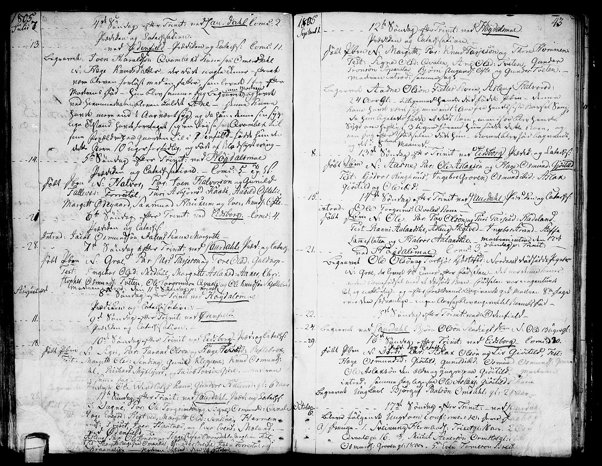 Lårdal kirkebøker, SAKO/A-284/F/Fa/L0004: Parish register (official) no. I 4, 1790-1814, p. 43
