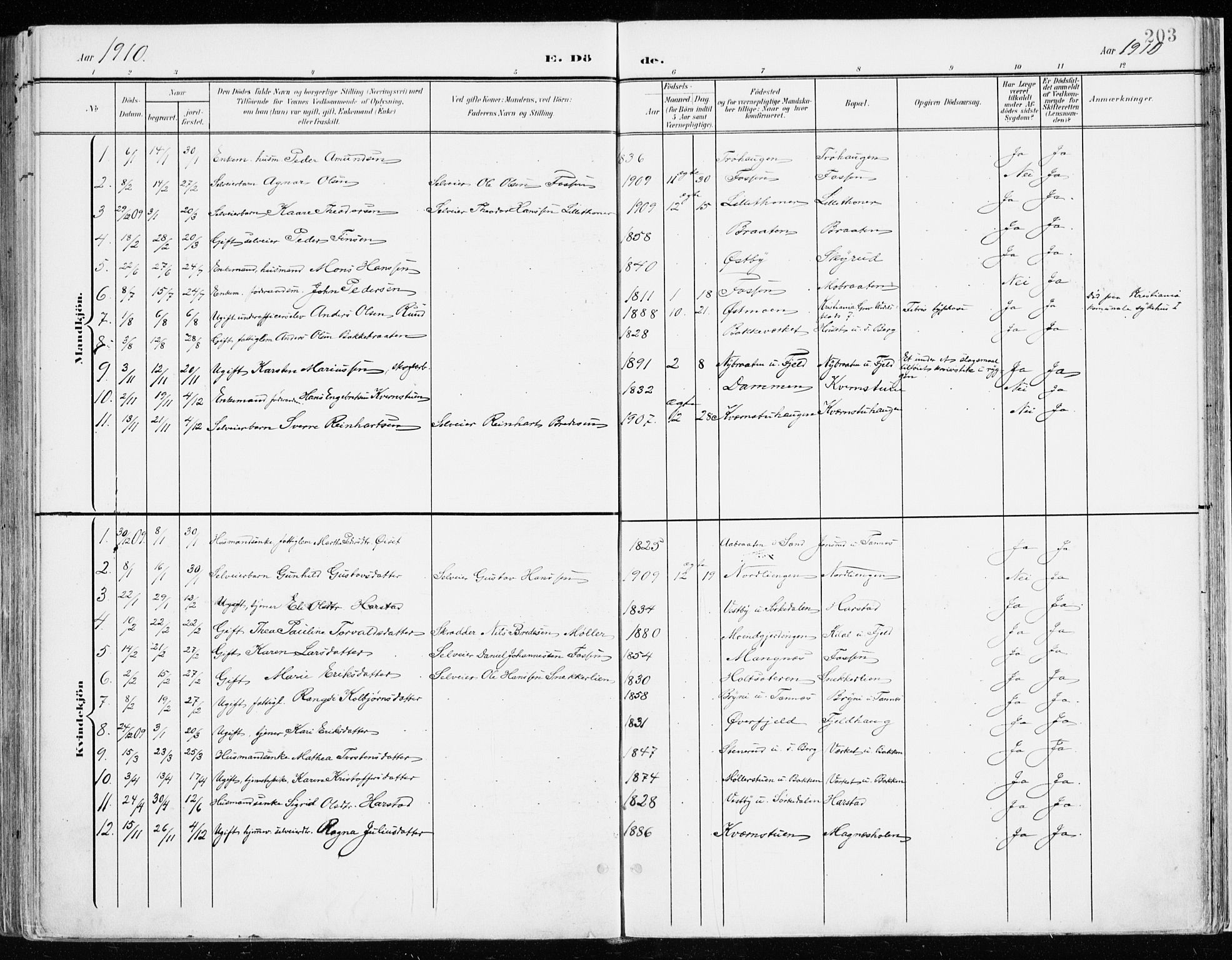 Nord-Odal prestekontor, SAH/PREST-032/H/Ha/Haa/L0009: Parish register (official) no. 9, 1902-1926, p. 203