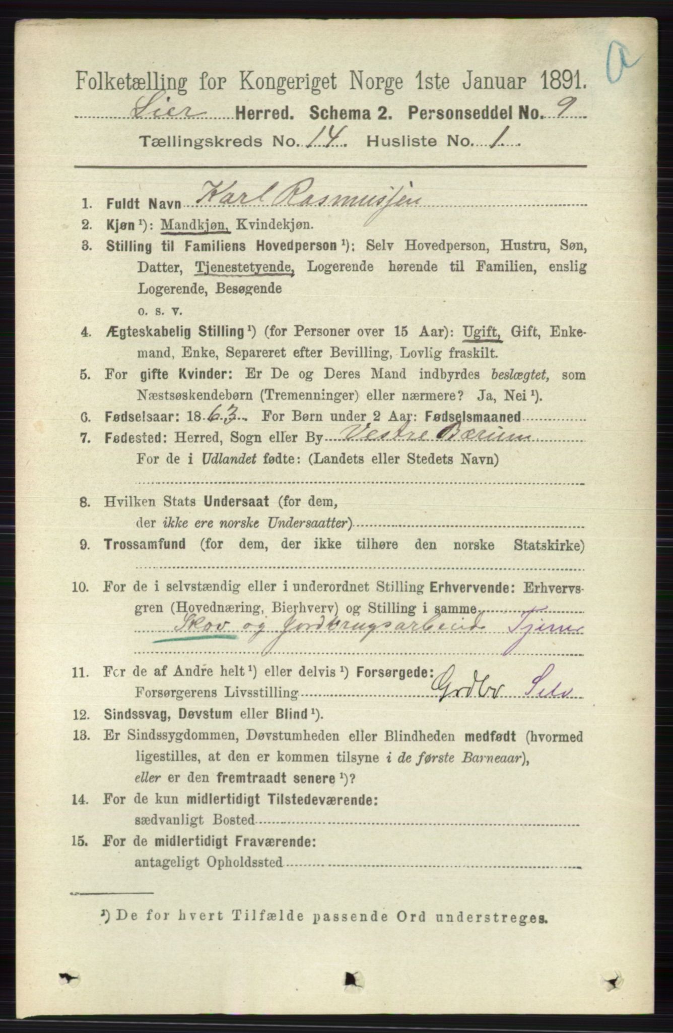 RA, 1891 census for 0626 Lier, 1891, p. 8274