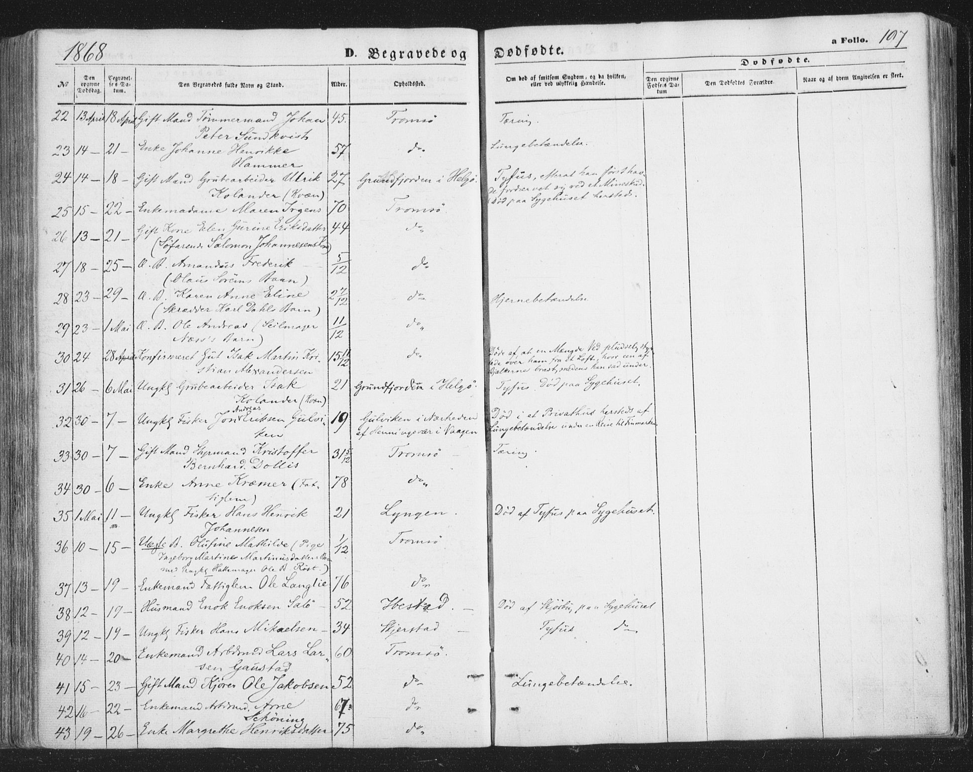 Tromsø sokneprestkontor/stiftsprosti/domprosti, SATØ/S-1343/G/Ga/L0012kirke: Parish register (official) no. 12, 1865-1871, p. 197
