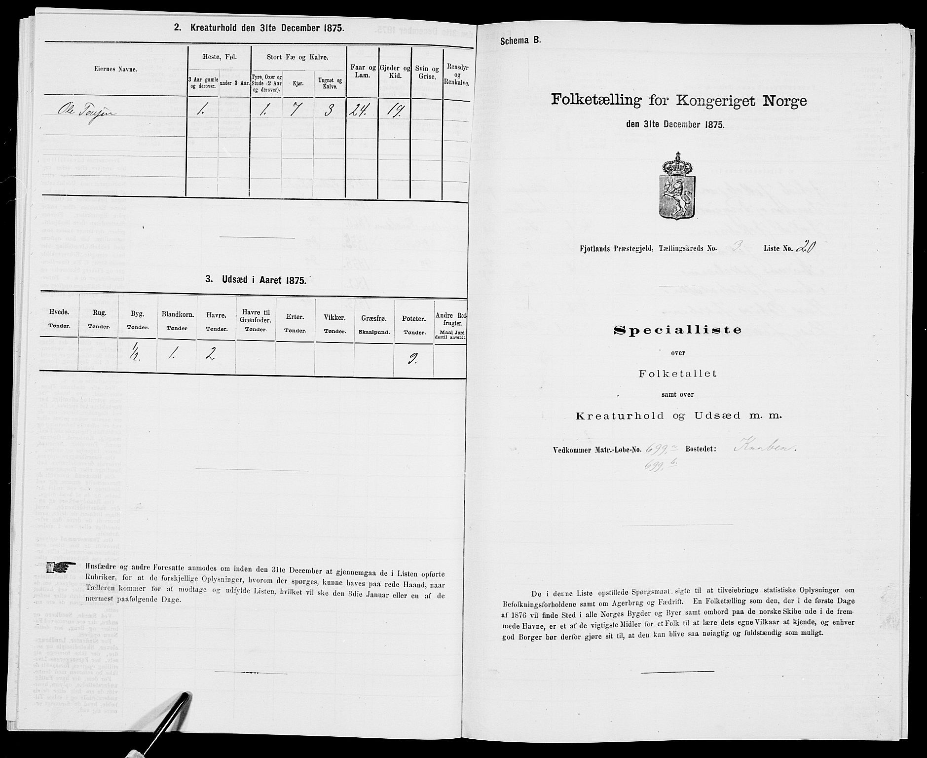 SAK, 1875 census for 1036P Fjotland, 1875, p. 199