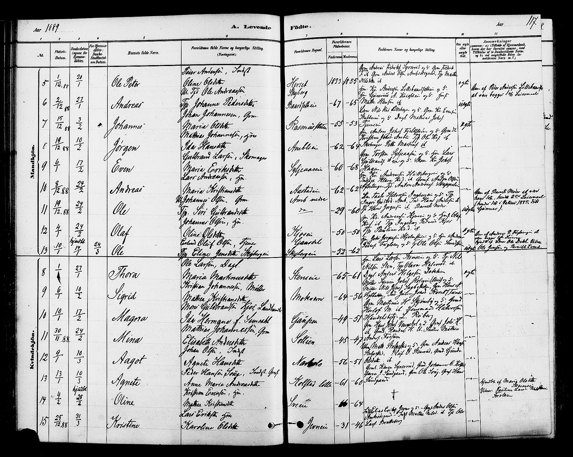 Ringsaker prestekontor, SAH/PREST-014/L/La/L0009: Parish register (copy) no. 9, 1879-1890, p. 117