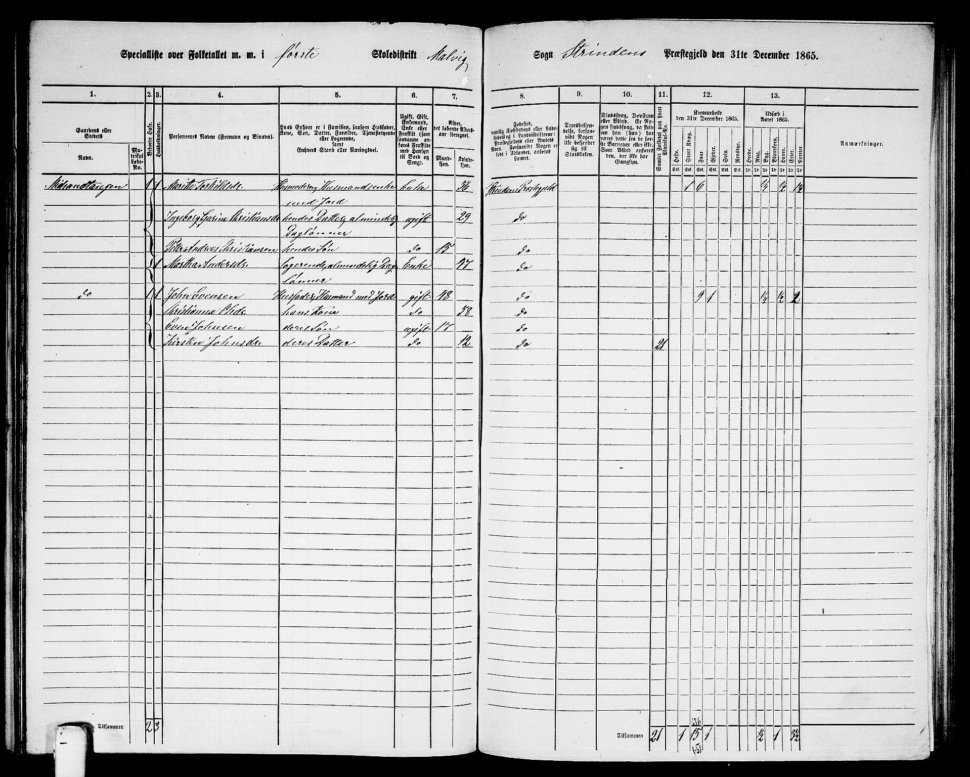 RA, 1865 census for Strinda, 1865, p. 209