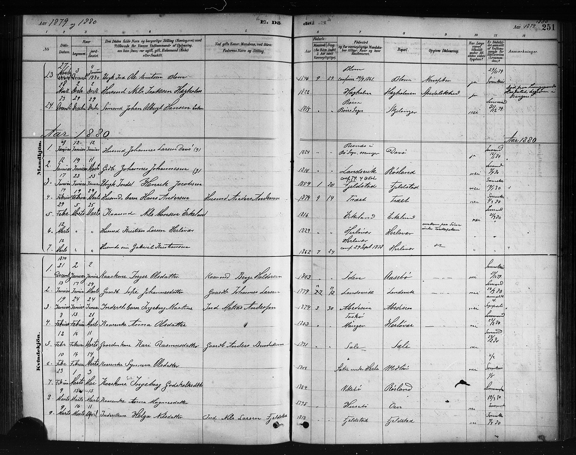 Herdla Sokneprestembete, AV/SAB-A-75701/H/Haa: Parish register (official) no. A 3, 1878-1890, p. 251