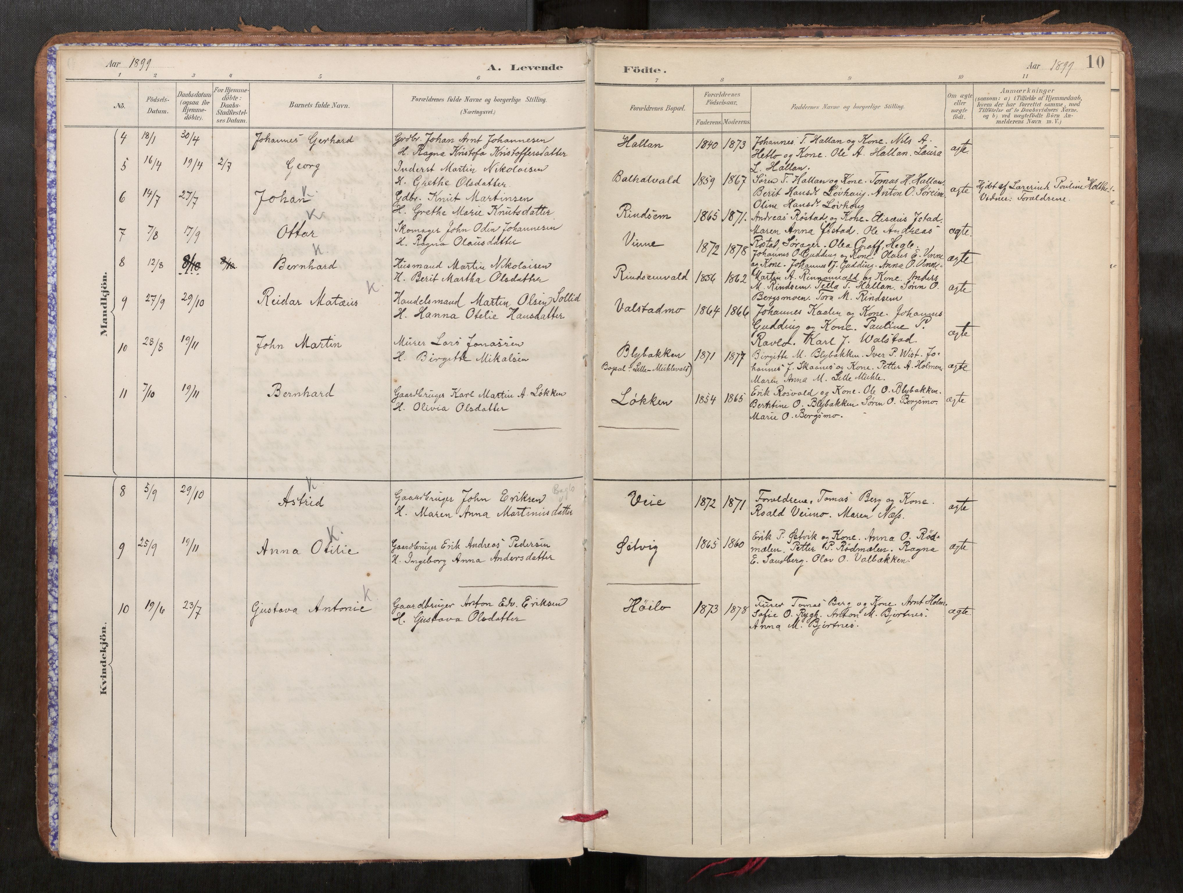 Verdal sokneprestkontor, SAT/A-1156/2/H/Haa/L0002: Parish register (official) no. 2, 1891-1907, p. 10