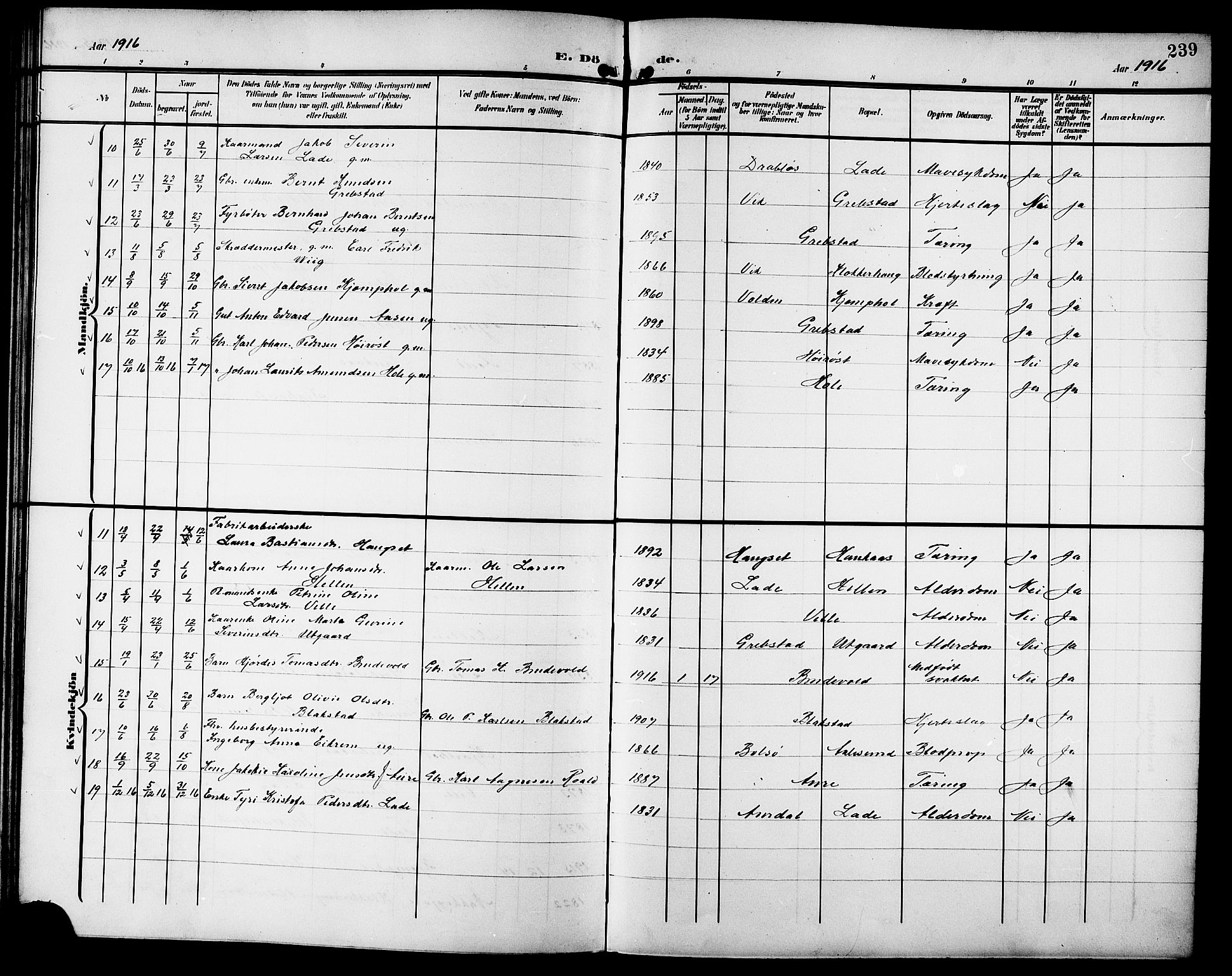 Ministerialprotokoller, klokkerbøker og fødselsregistre - Møre og Romsdal, SAT/A-1454/523/L0341: Parish register (copy) no. 523C04, 1903-1916, p. 239