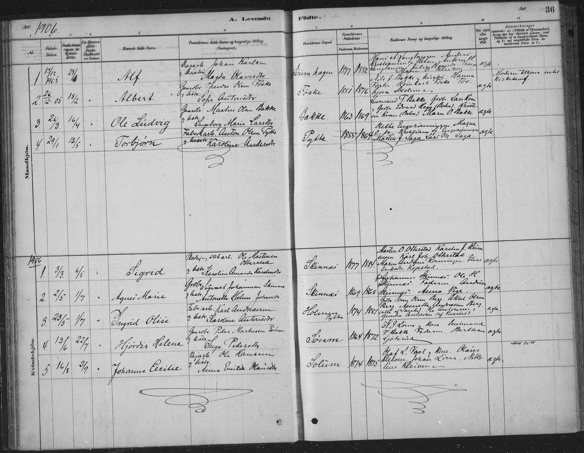 Sandsvær kirkebøker, SAKO/A-244/F/Fe/L0001: Parish register (official) no. V 1, 1878-1936, p. 36