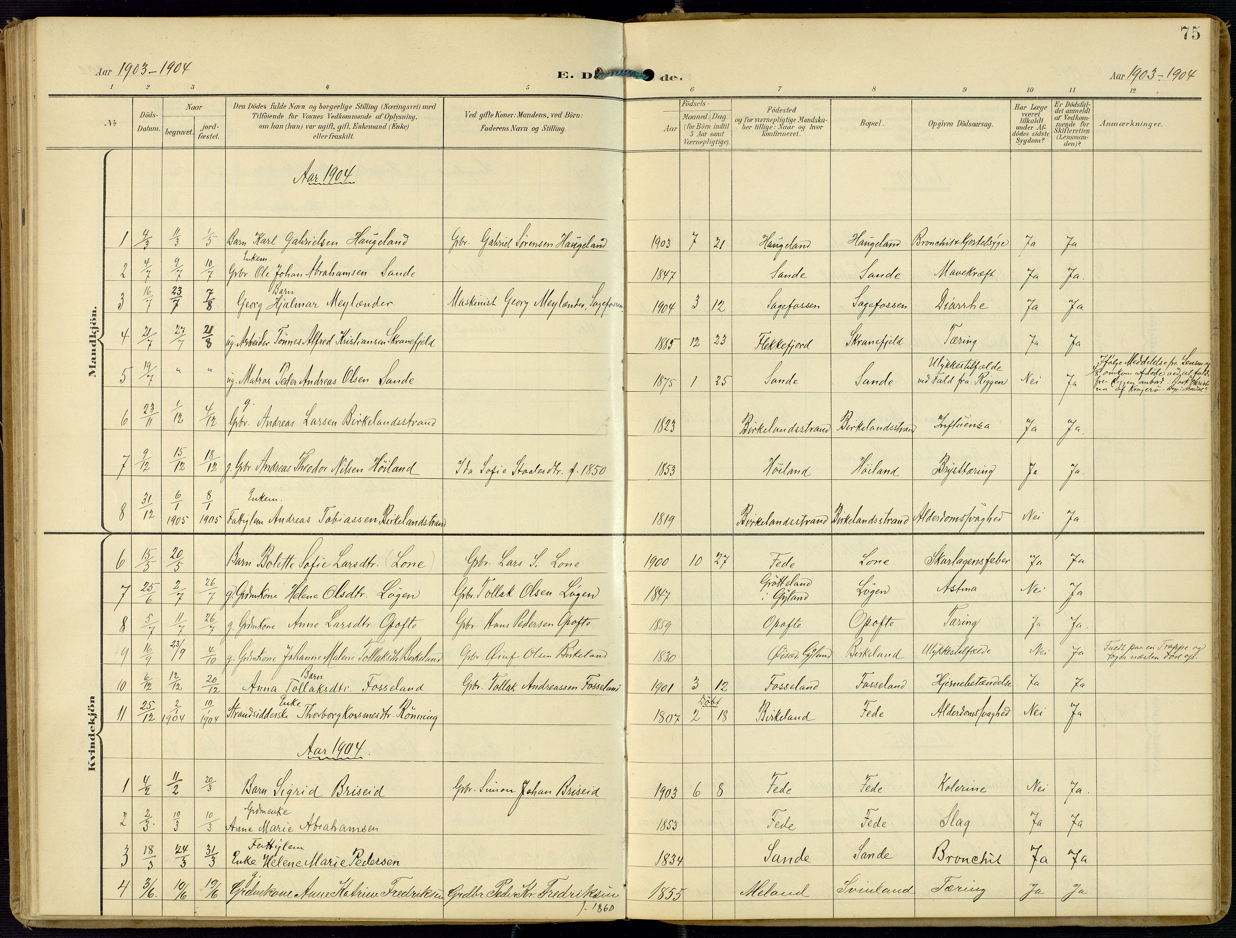 Kvinesdal sokneprestkontor, SAK/1111-0026/F/Fa/Faa/L0005: Parish register (official) no. A 5, 1898-1915, p. 75