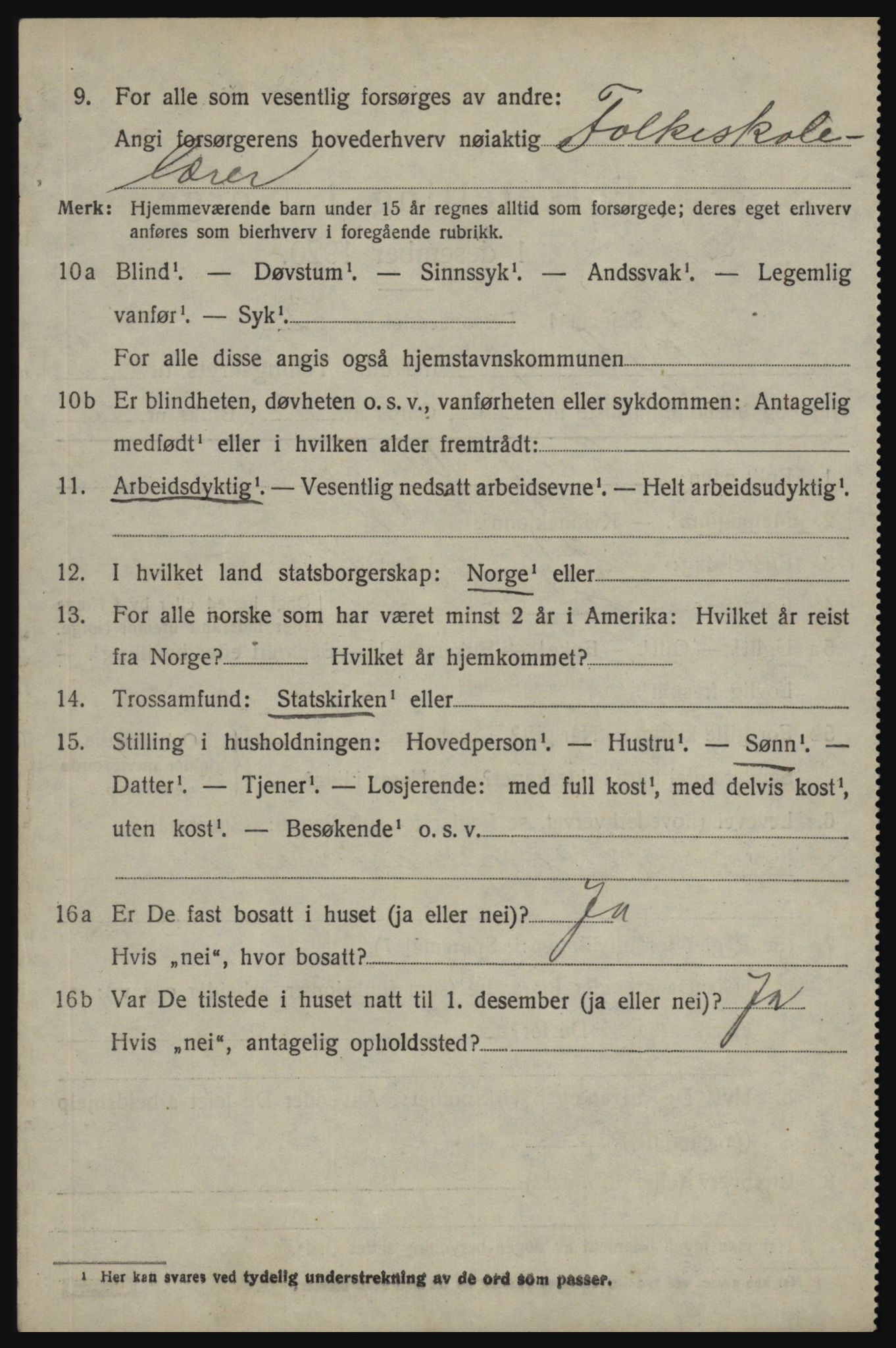 SAO, 1920 census for Skjeberg, 1920, p. 11634