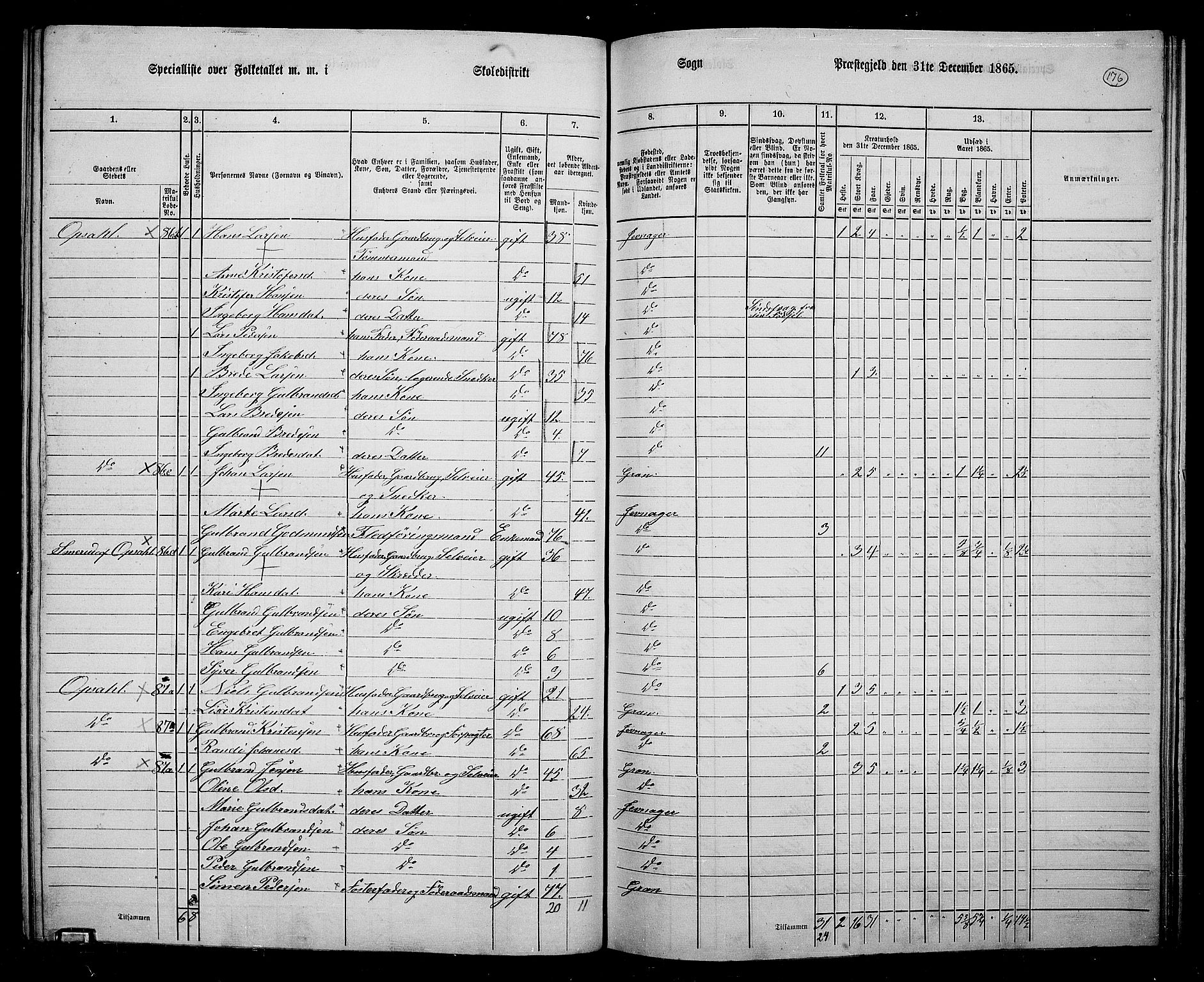 RA, 1865 census for Jevnaker, 1865, p. 162