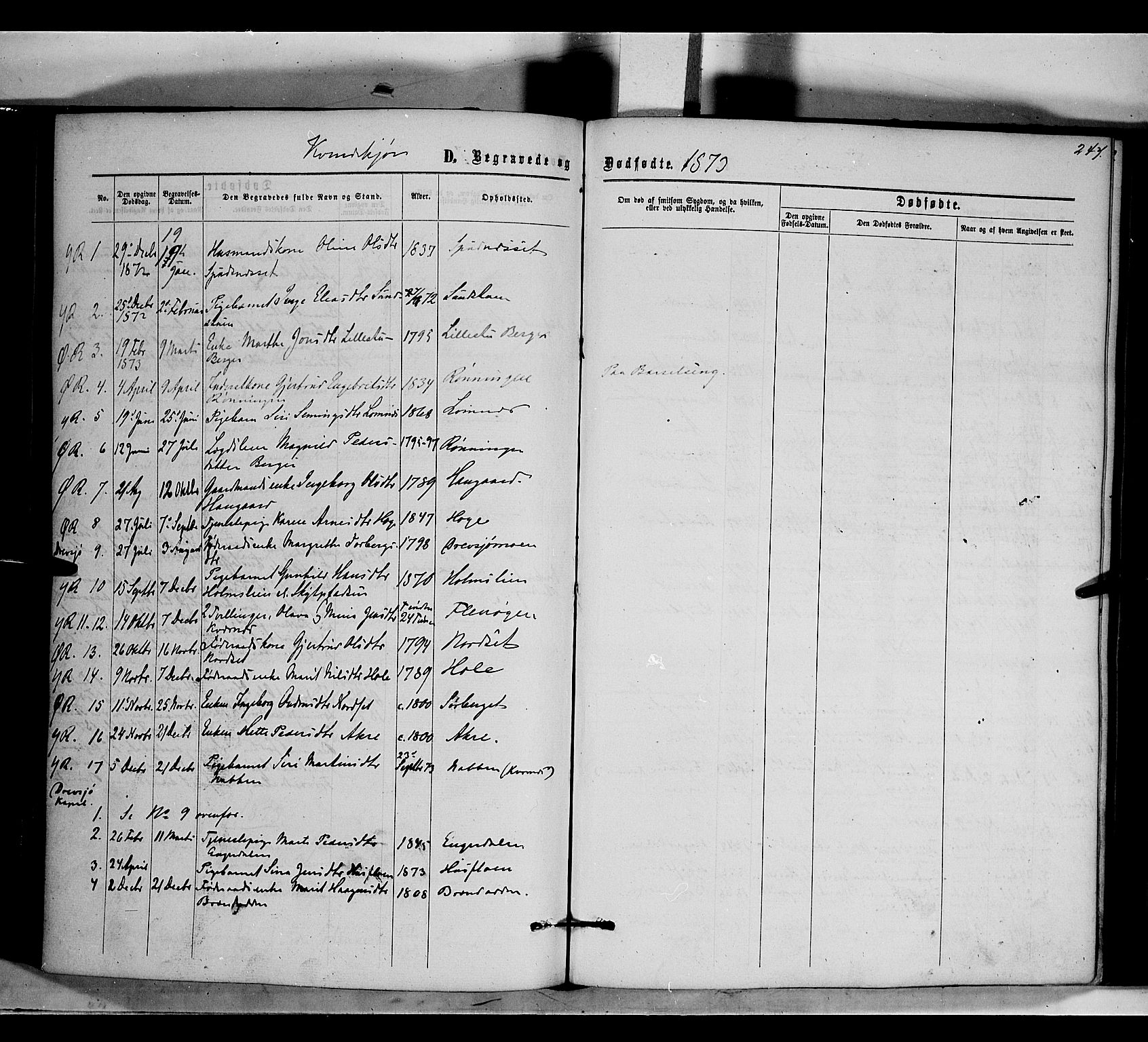 Rendalen prestekontor, SAH/PREST-054/H/Ha/Haa/L0006: Parish register (official) no. 6, 1867-1877, p. 247