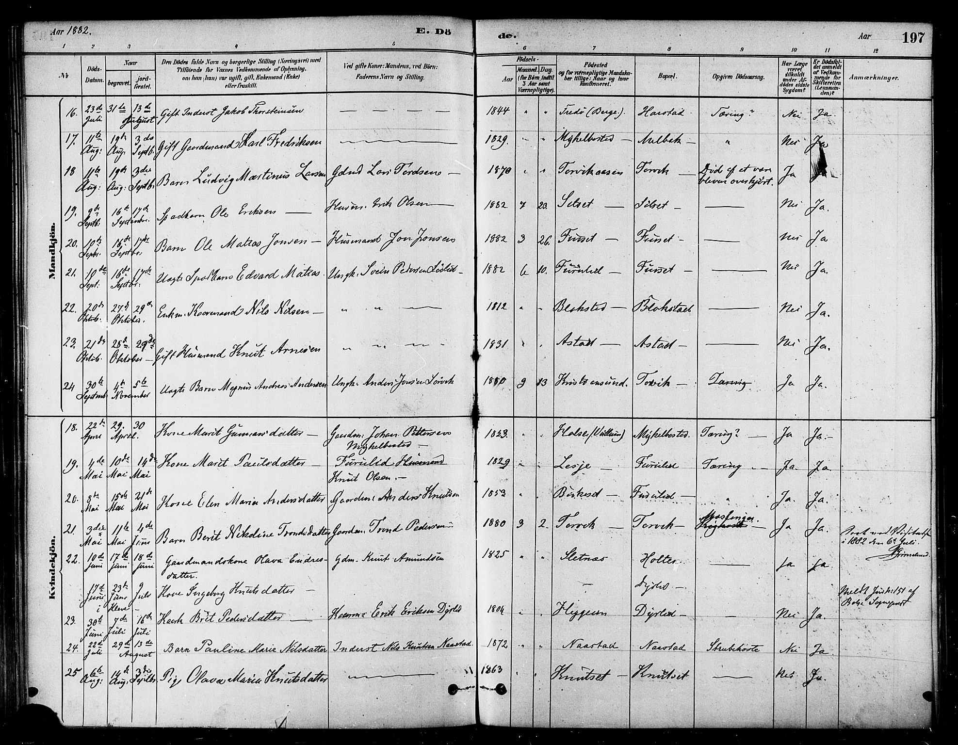 Ministerialprotokoller, klokkerbøker og fødselsregistre - Møre og Romsdal, AV/SAT-A-1454/584/L0967: Parish register (official) no. 584A07, 1879-1894, p. 197