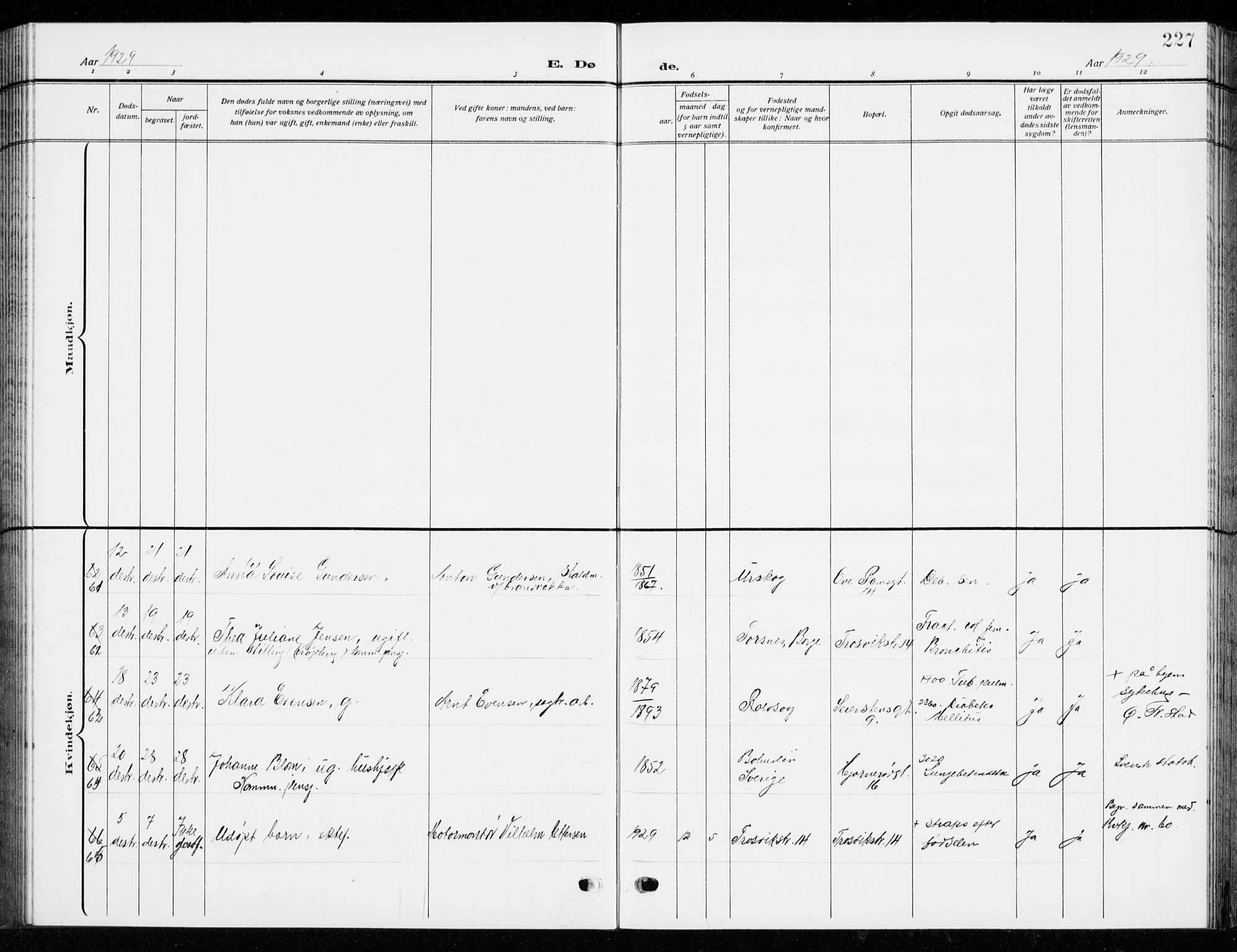 Fredrikstad domkirkes prestekontor Kirkebøker, SAO/A-10906/G/Ga/L0004: Parish register (copy) no. 4, 1910-1944, p. 227