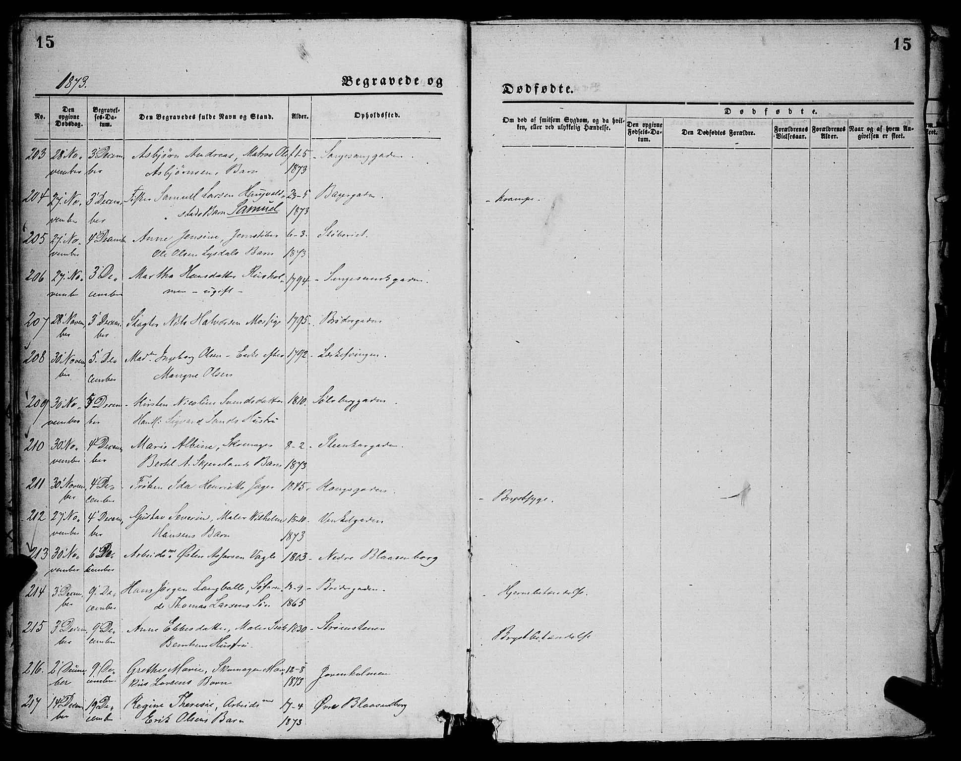 St. Petri sokneprestkontor, AV/SAST-A-101813/001/30/30BA/L0012: Parish register (official) no. A 12, 1873-1878, p. 15