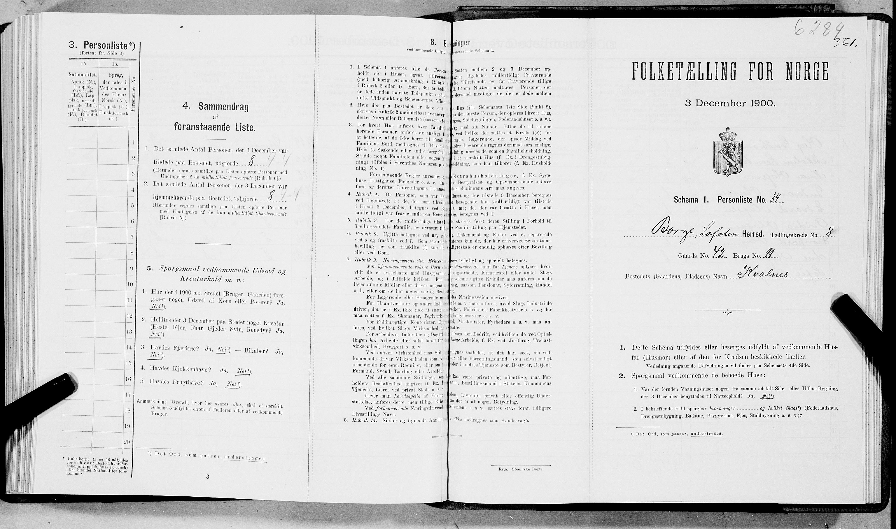 SAT, 1900 census for Borge, 1900, p. 804