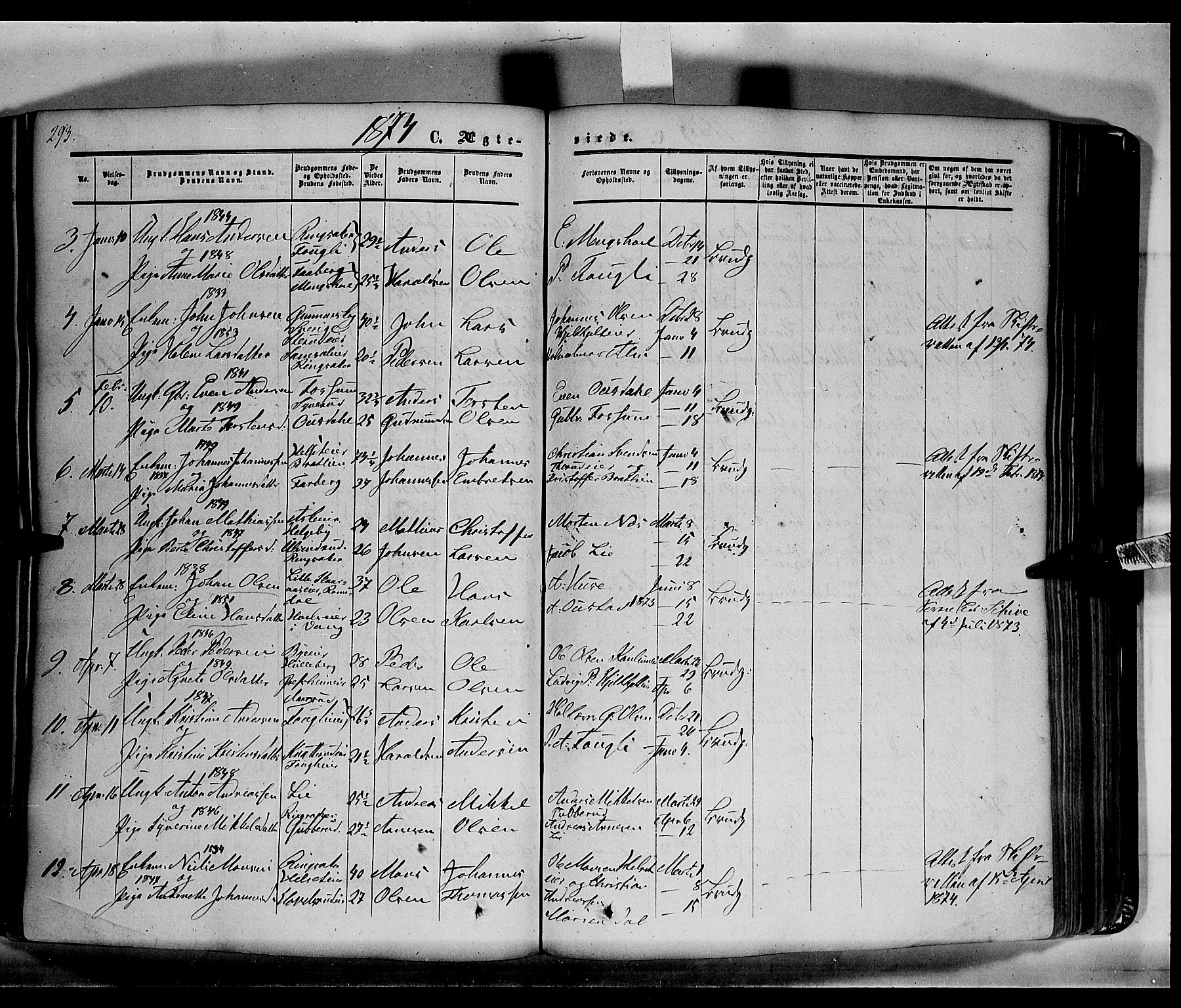 Nes prestekontor, Hedmark, AV/SAH-PREST-020/K/Ka/L0004: Parish register (official) no. 4, 1852-1886, p. 294