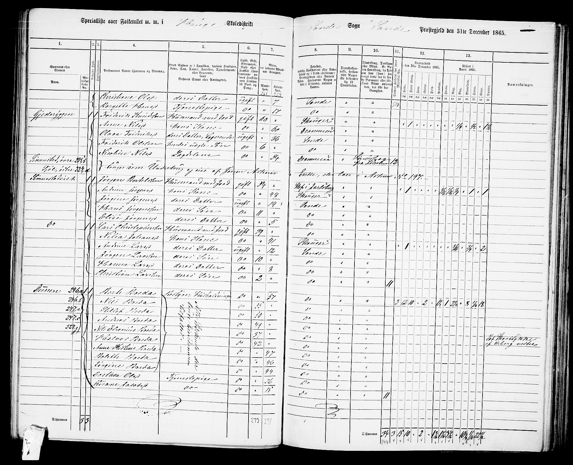 RA, 1865 census for Sande, 1865, p. 52