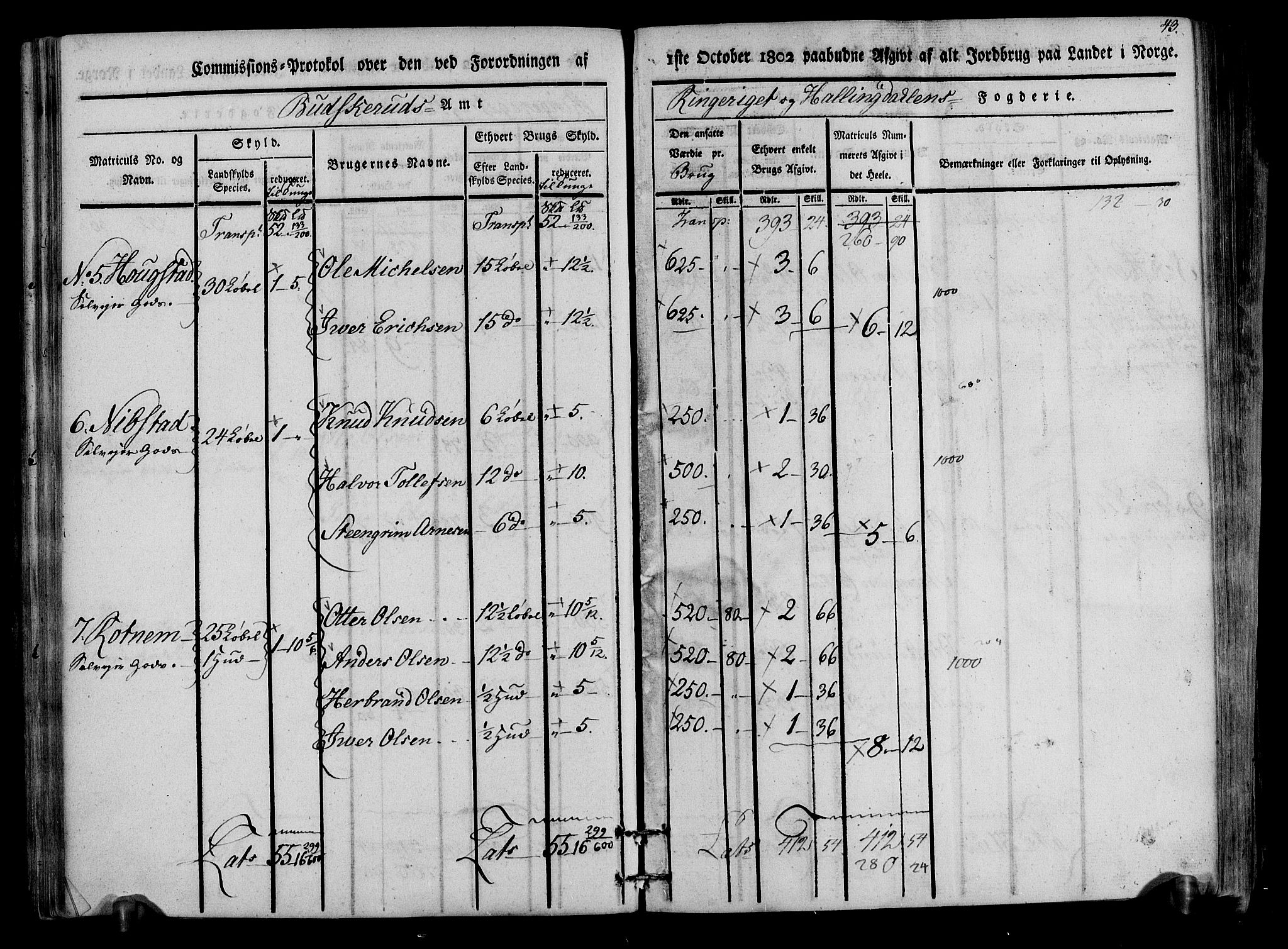 Rentekammeret inntil 1814, Realistisk ordnet avdeling, RA/EA-4070/N/Ne/Nea/L0047: Ringerike og Hallingdal fogderi. Kommisjonsprotokoll for Nes prestegjeld, 1803, p. 45