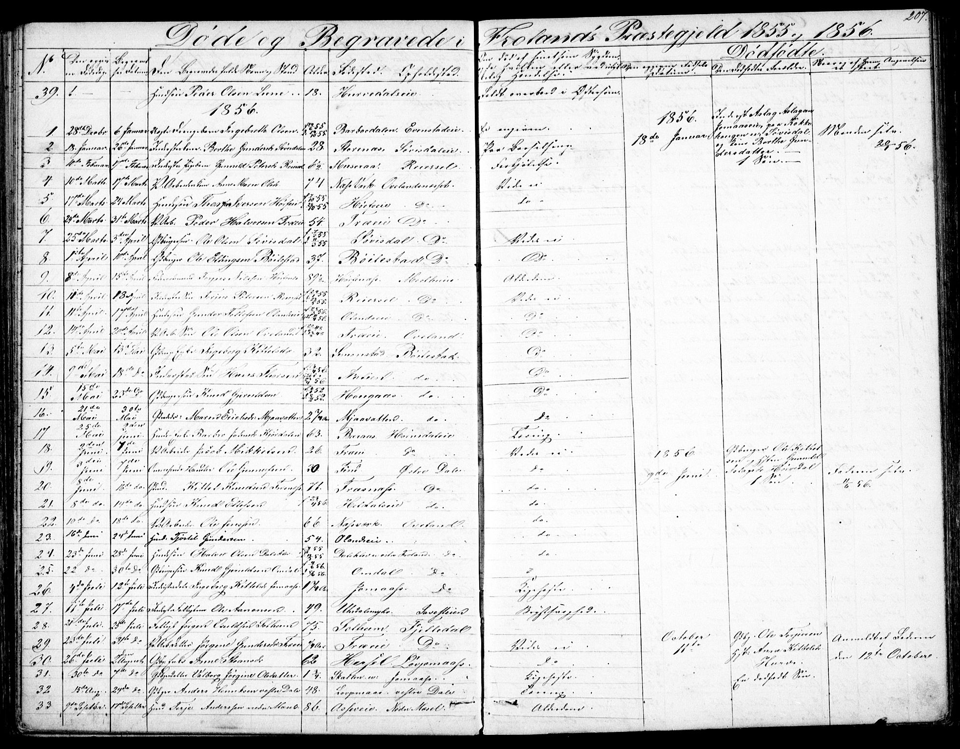 Froland sokneprestkontor, SAK/1111-0013/F/Fb/L0008: Parish register (copy) no. B 8, 1843-1875, p. 207