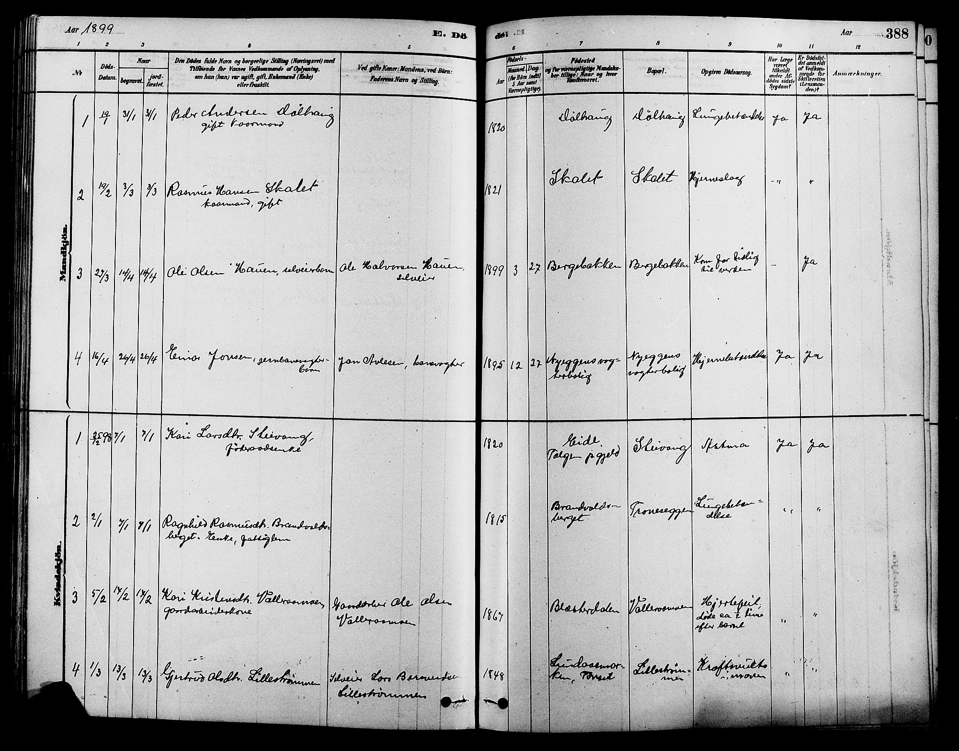Alvdal prestekontor, SAH/PREST-060/H/Ha/Hab/L0003: Parish register (copy) no. 3, 1878-1907, p. 388