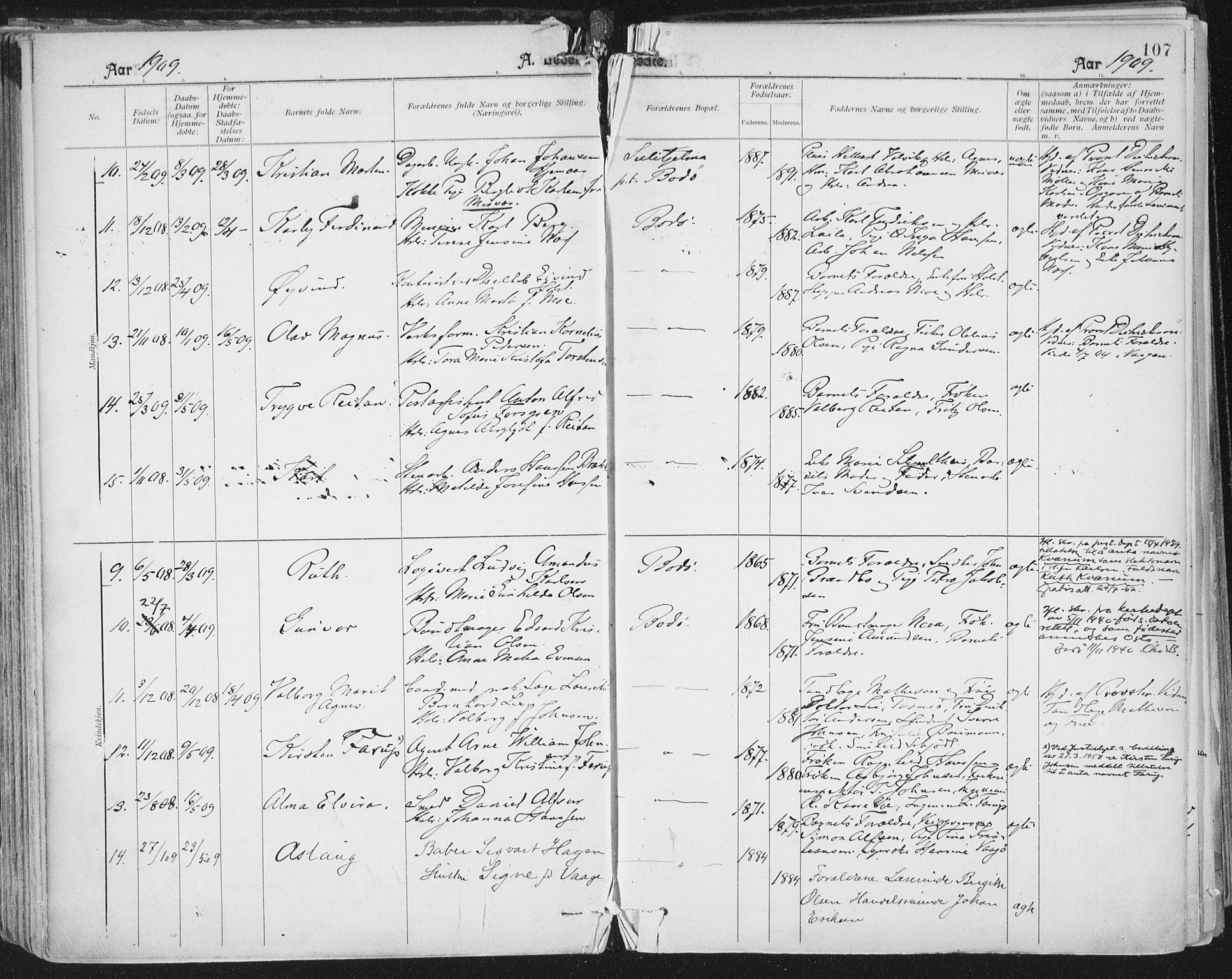 Ministerialprotokoller, klokkerbøker og fødselsregistre - Nordland, AV/SAT-A-1459/801/L0011: Parish register (official) no. 801A11, 1900-1916, p. 107