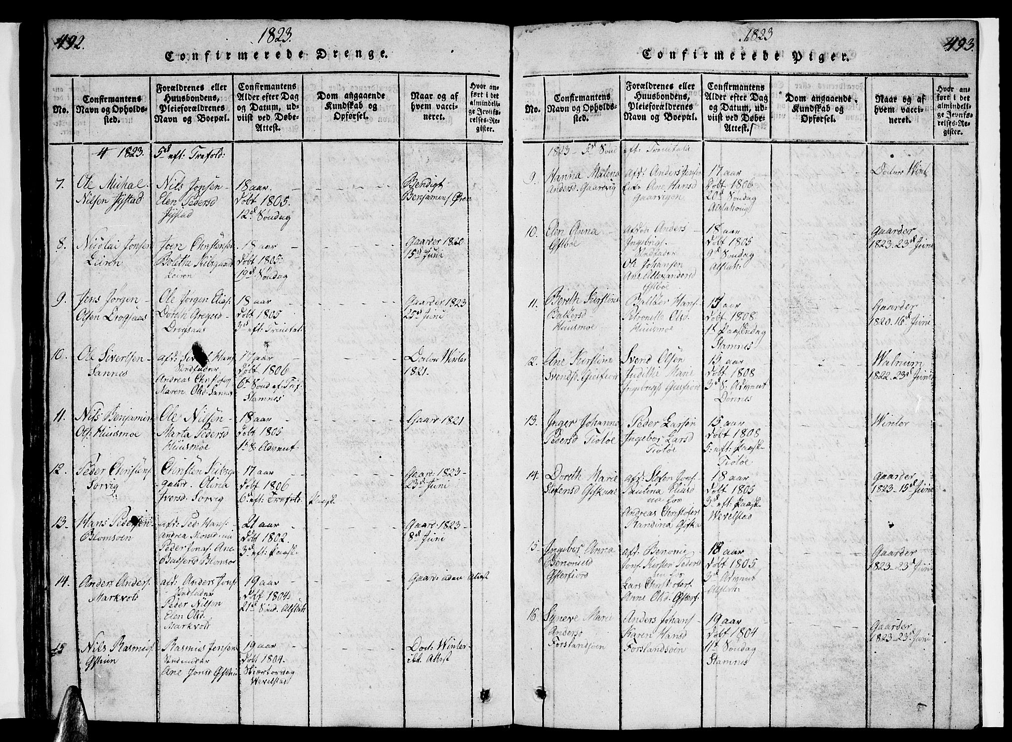 Ministerialprotokoller, klokkerbøker og fødselsregistre - Nordland, AV/SAT-A-1459/830/L0457: Parish register (copy) no. 830C01 /1, 1820-1842, p. 492-493