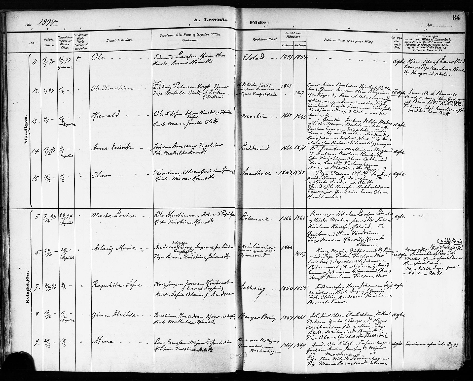 Eidsvoll prestekontor Kirkebøker, SAO/A-10888/F/Fa/L0004: Parish register (official) no. I 4, 1891-1900, p. 34